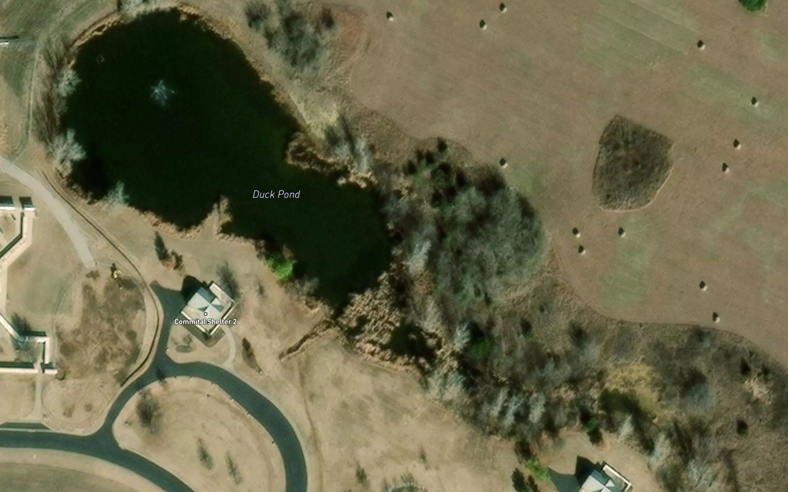 Duck Pond