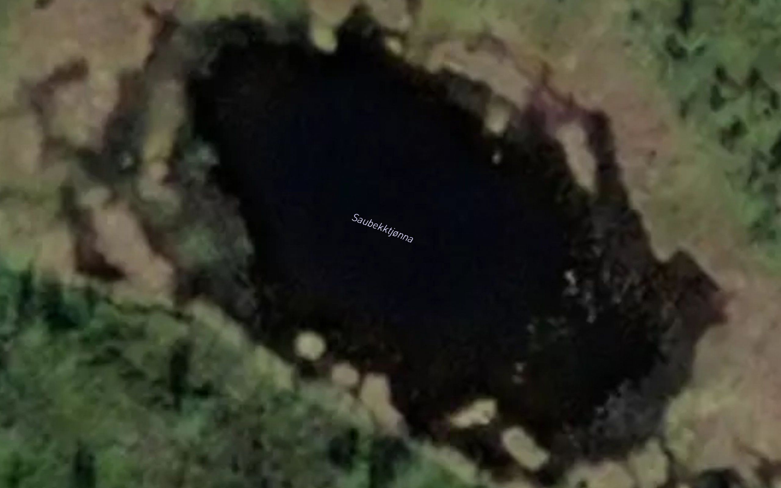 Saubekktjonna
