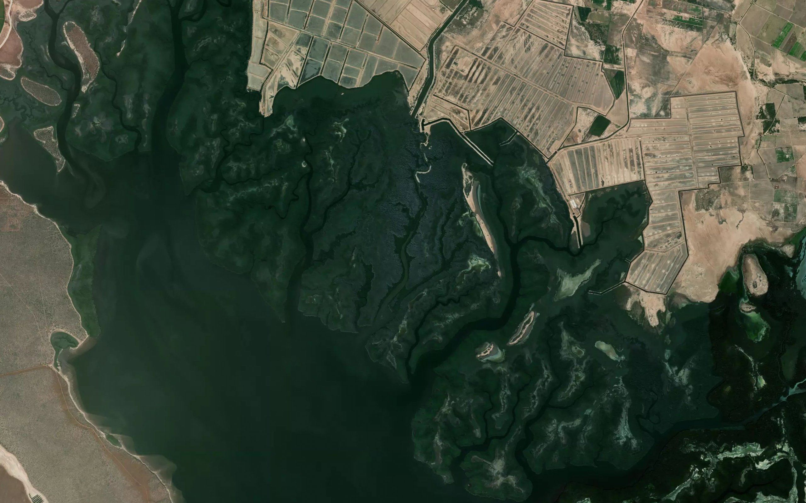 Estero San Esteban
