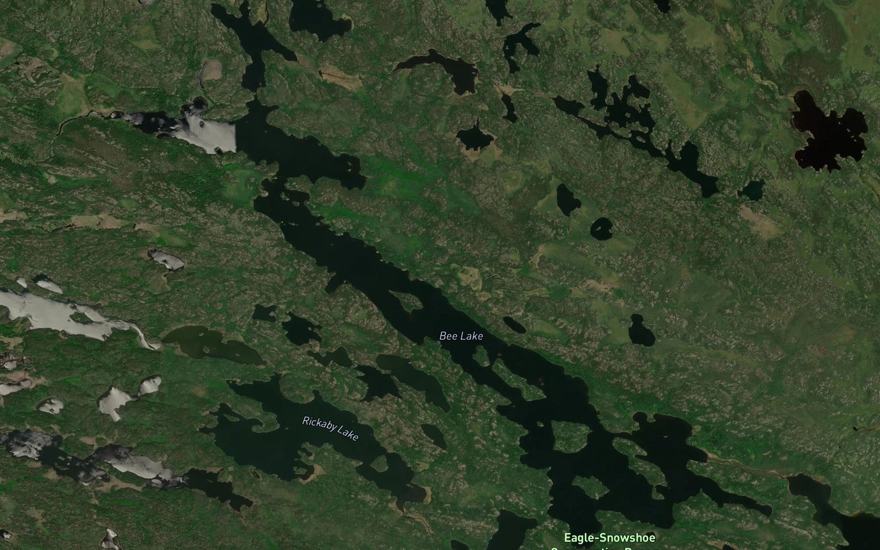 Satellite map of the Bee Lake
