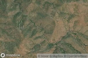 Cottonwood Box Spring