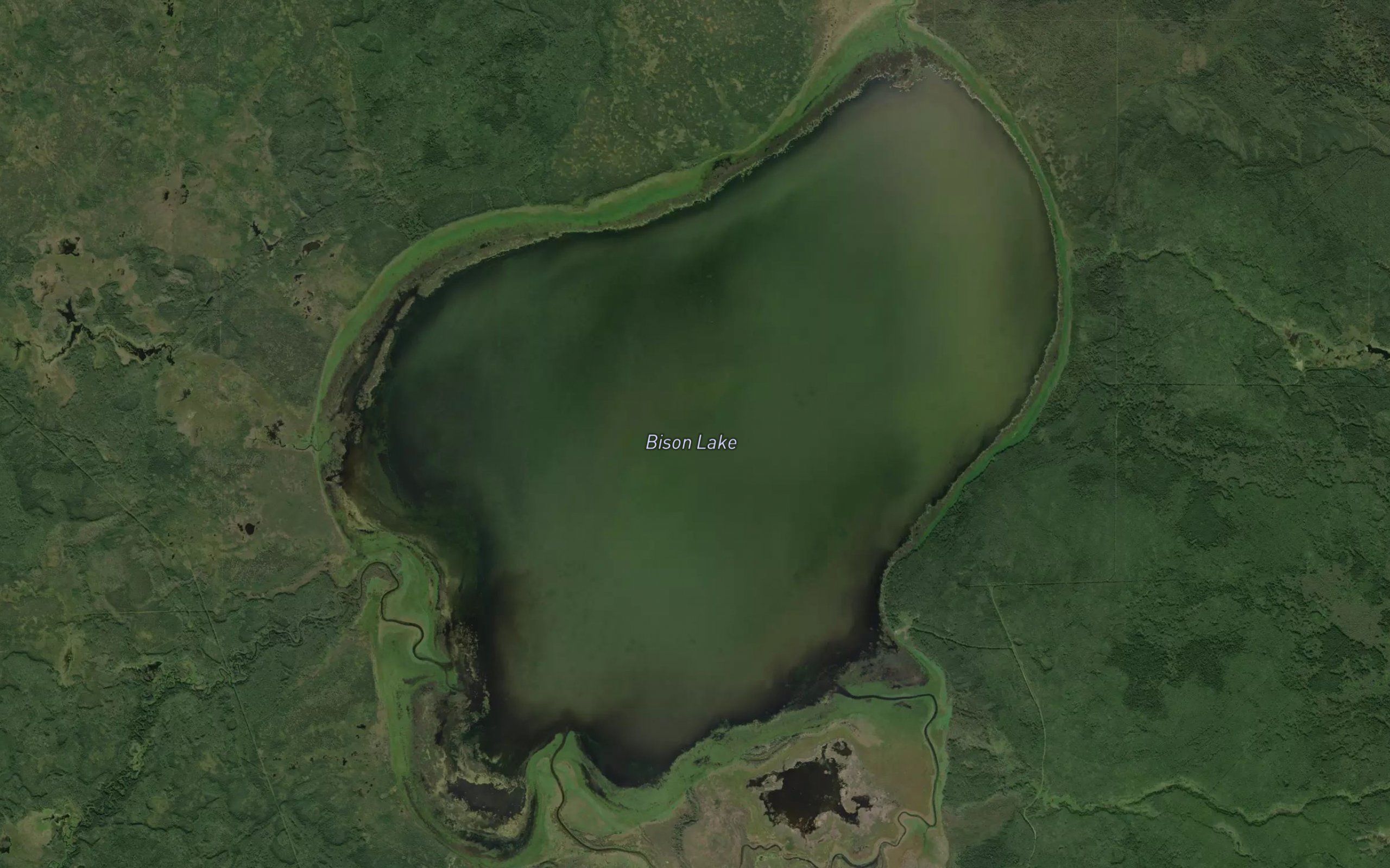 Bison Lake