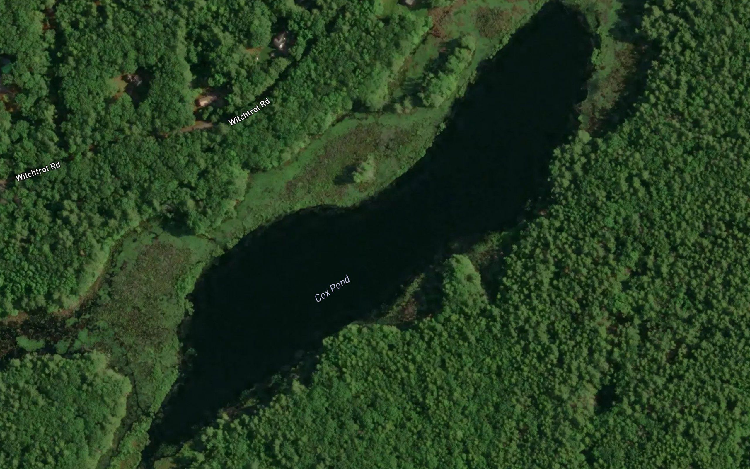 Cox Pond