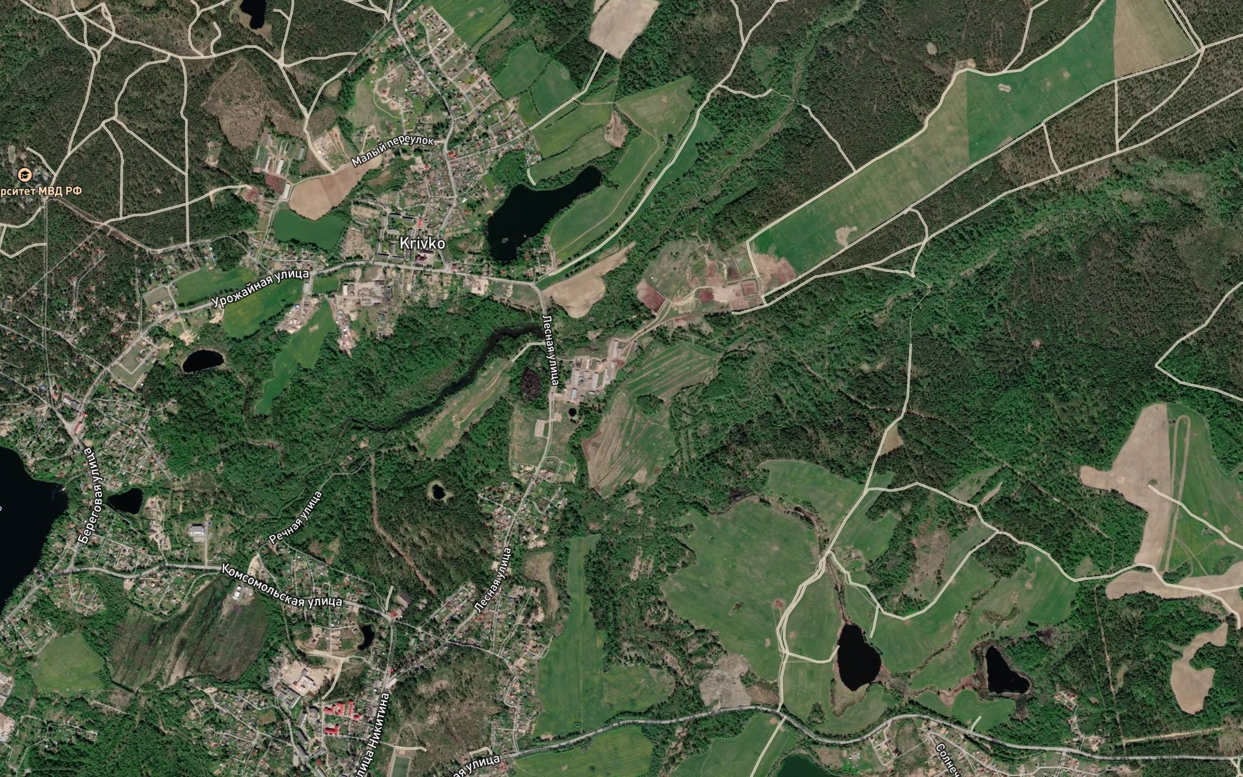 Satellite map of the Gladysh