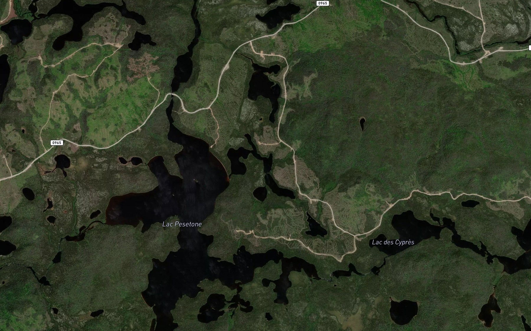 Satellite map of the Lac Lili