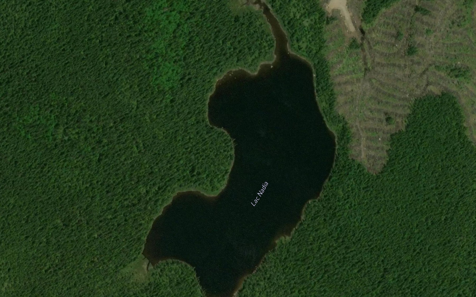 Satellite map of the Lac Nadia