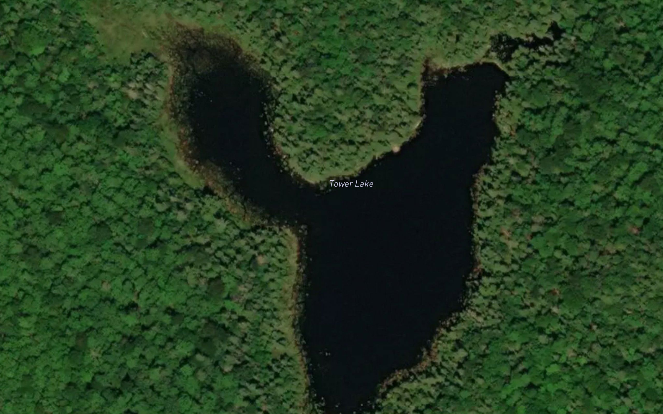 Tower Lake