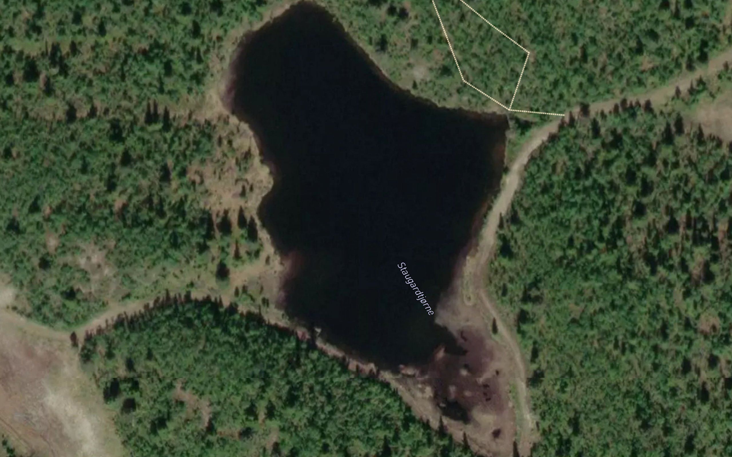 Staugardtjorni