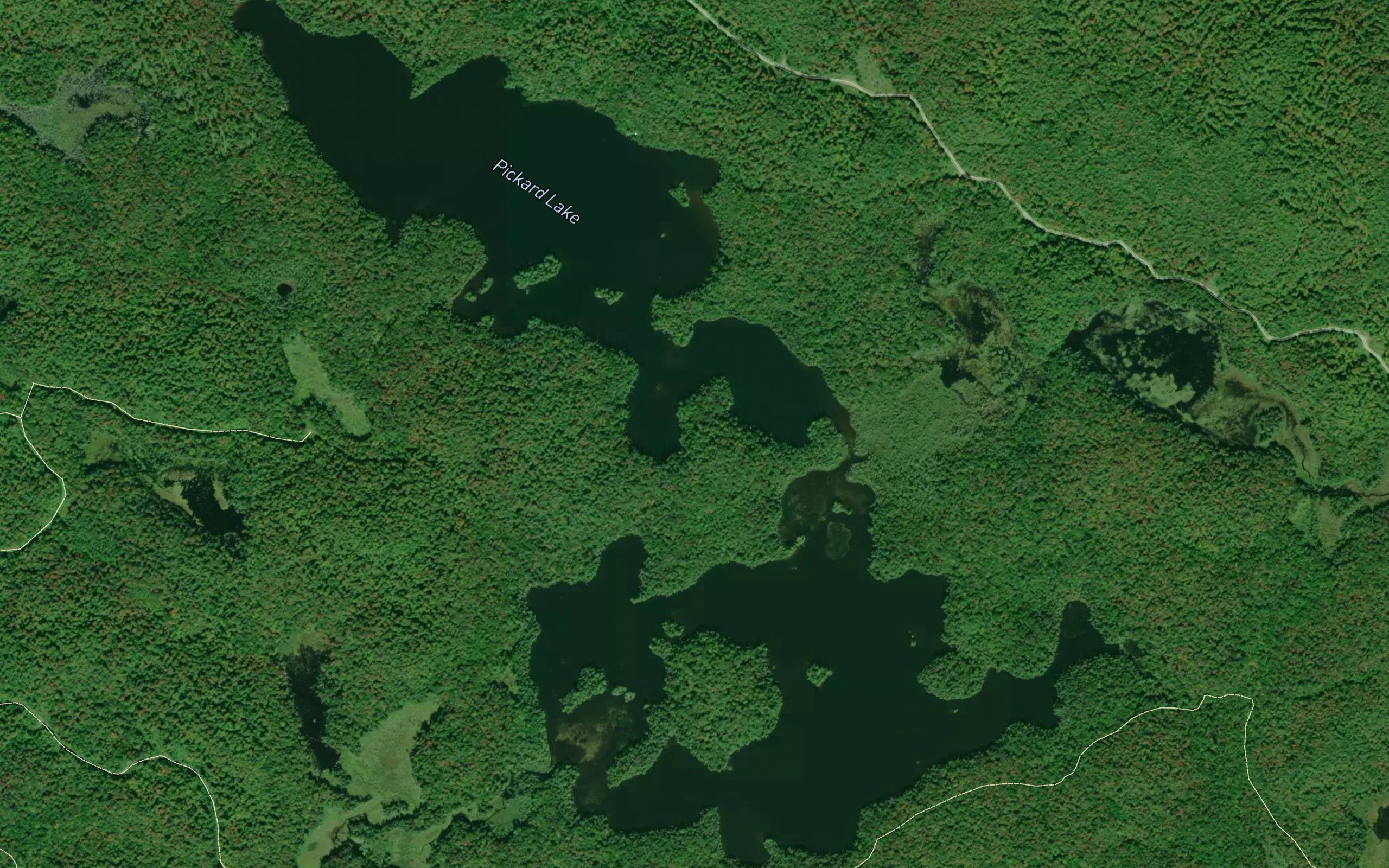 Pickard Lake