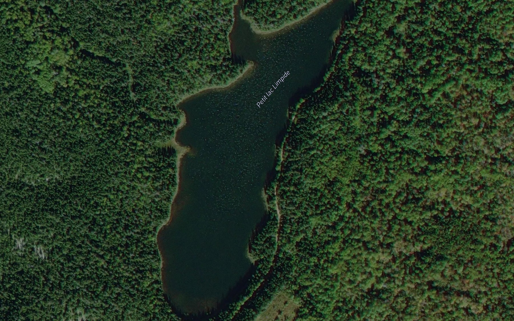 Satellite map of the Petit lac Limpide