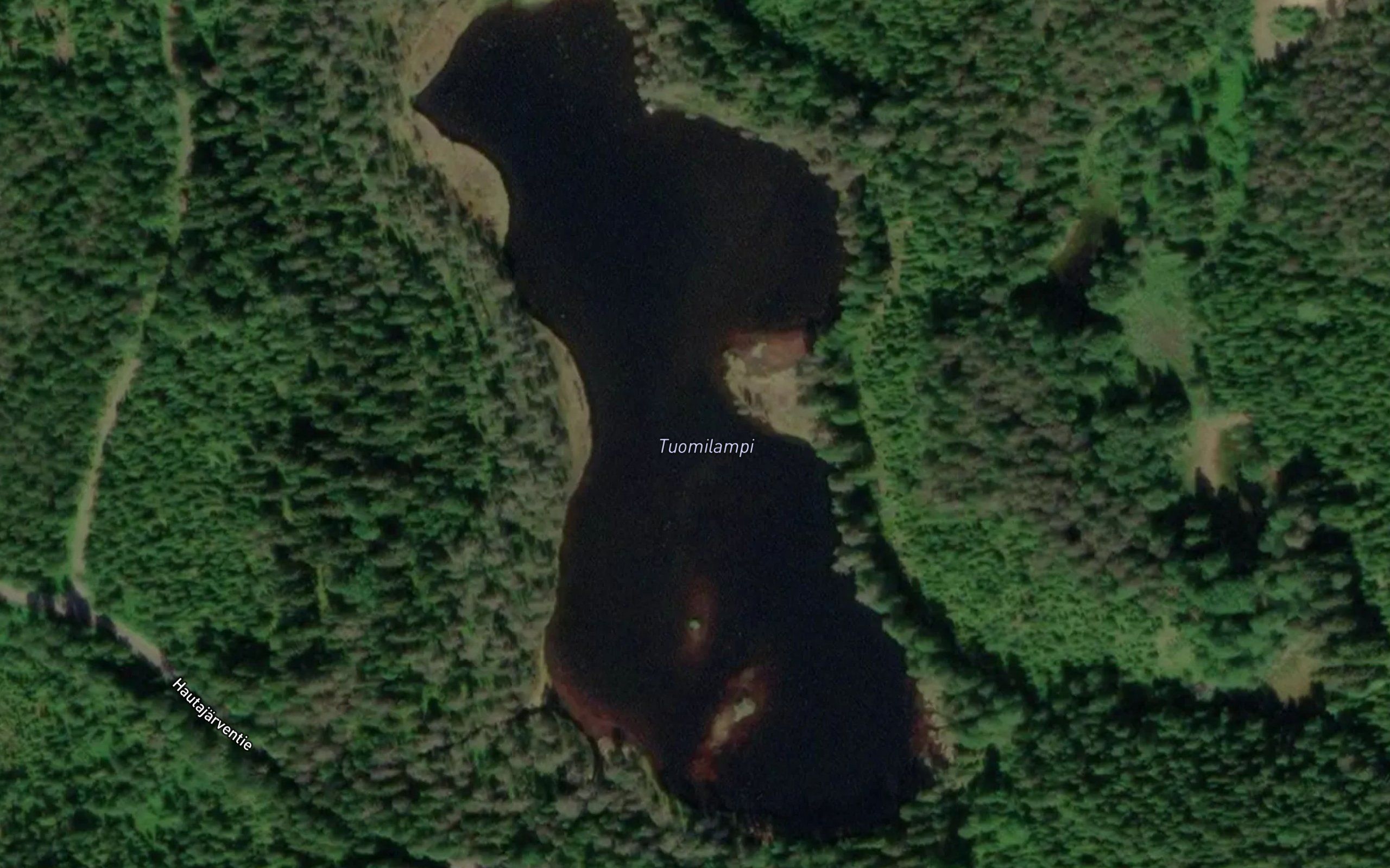Tuomilampi