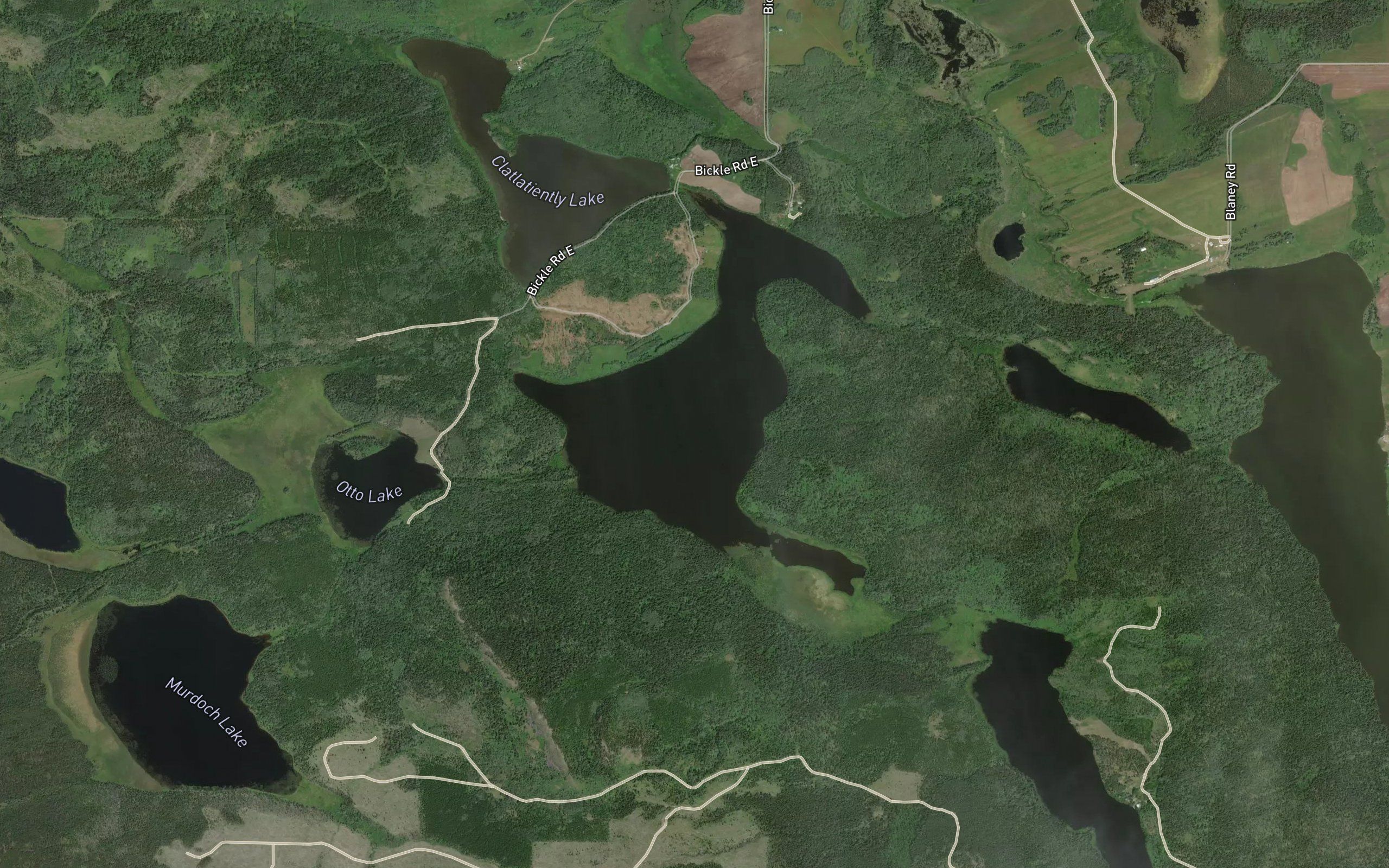 Bickle Lake