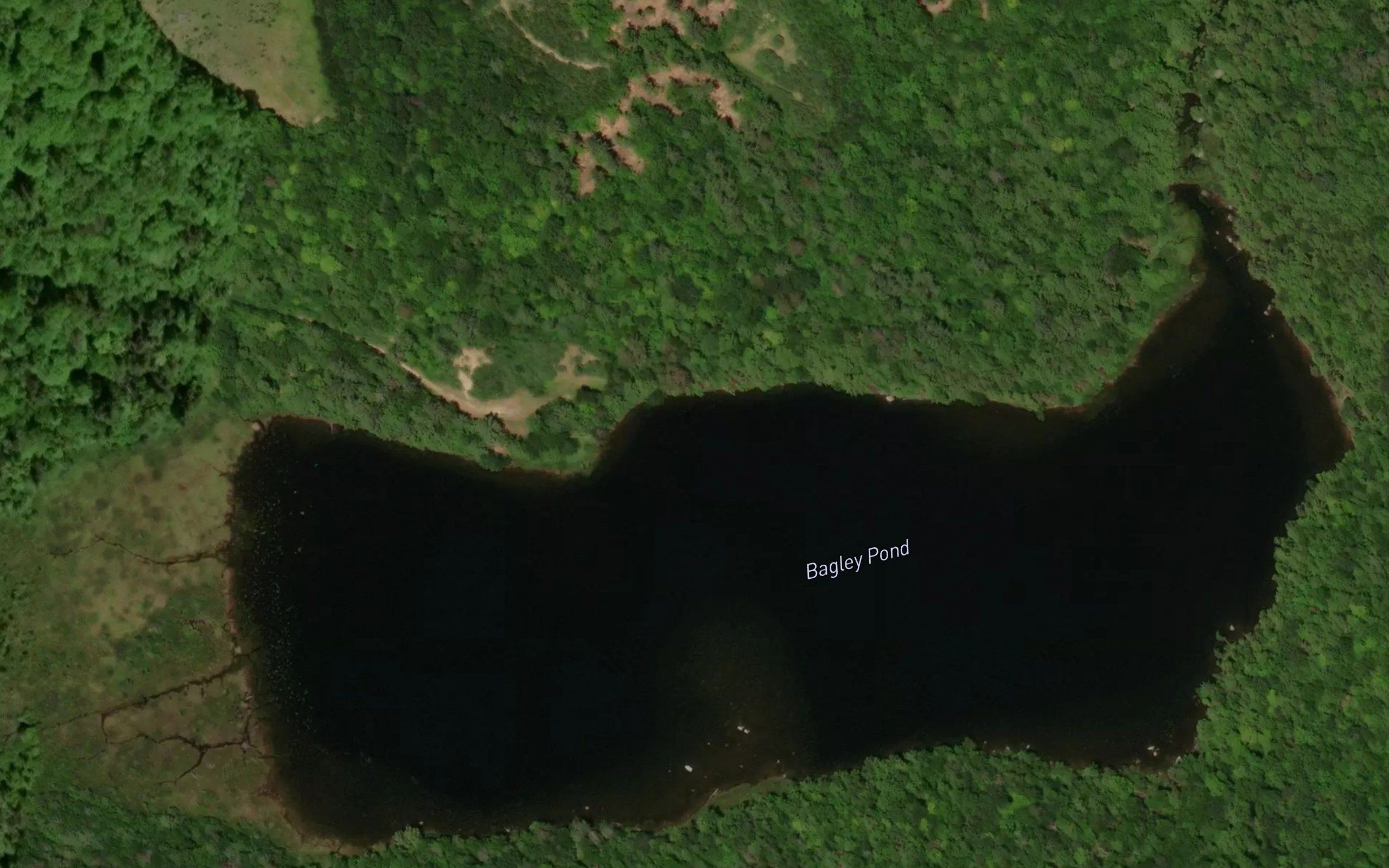 Bagley Pond