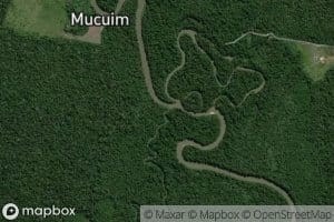 Igarape Jacareuba Grande