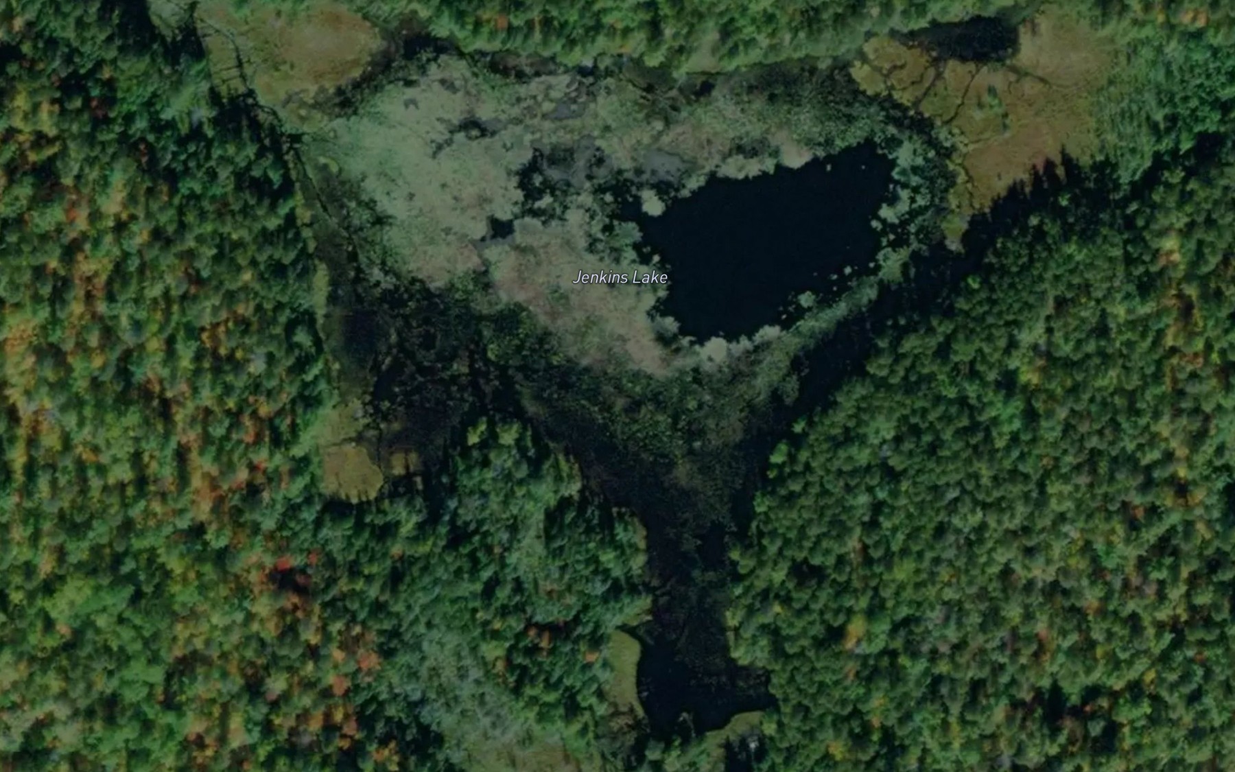 Satellite map of the Jenkins Lake