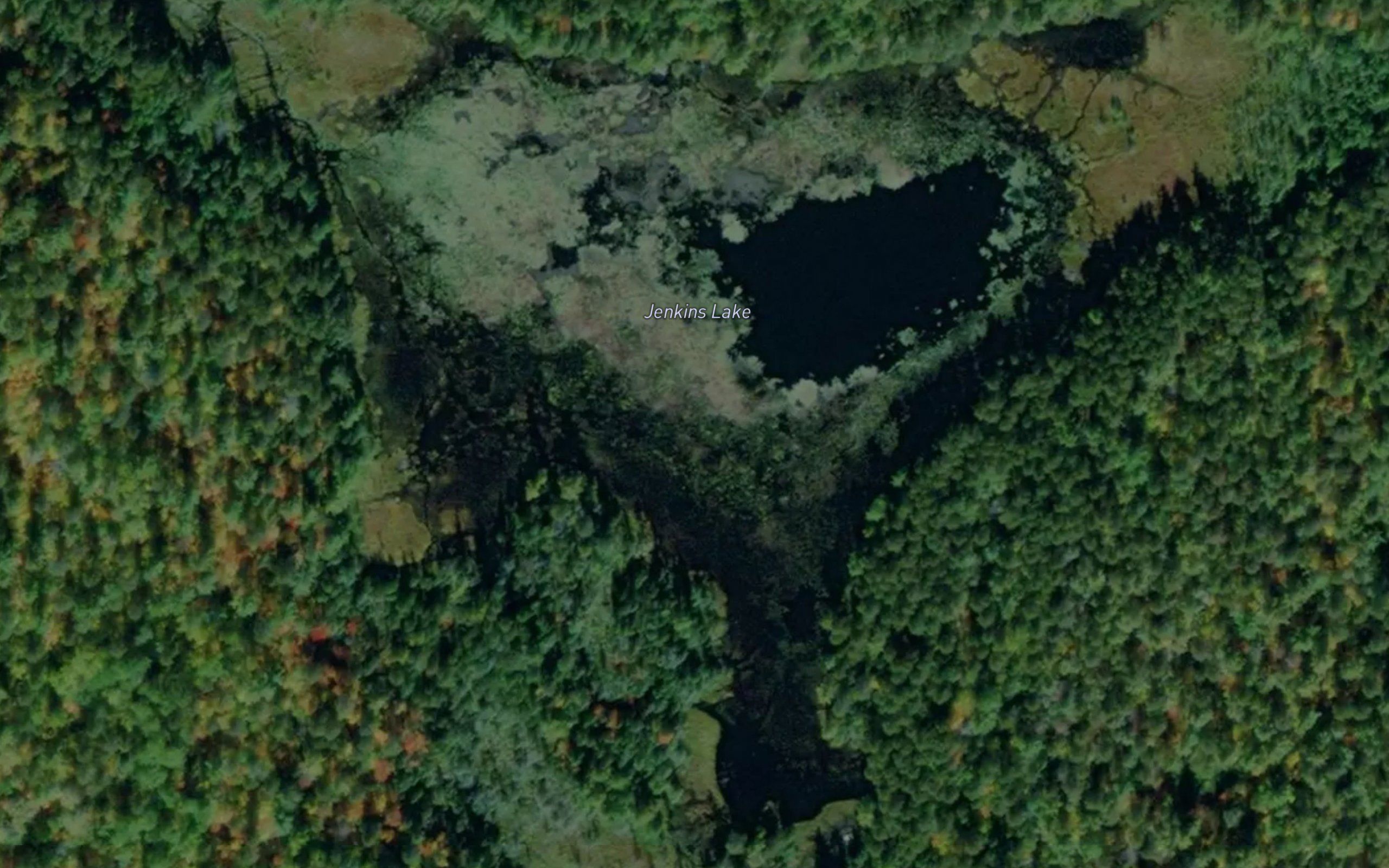 Jenkins Lake
