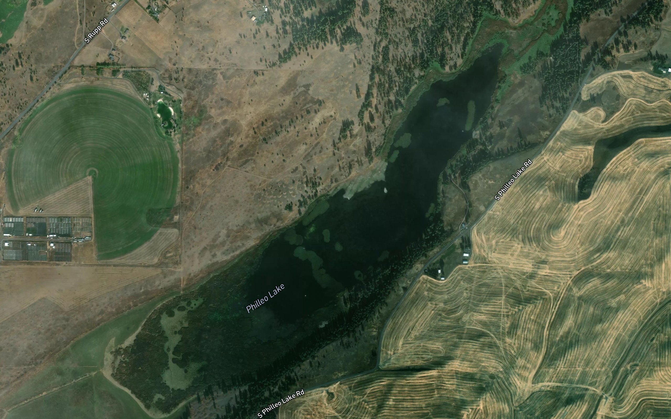Philleo Lake