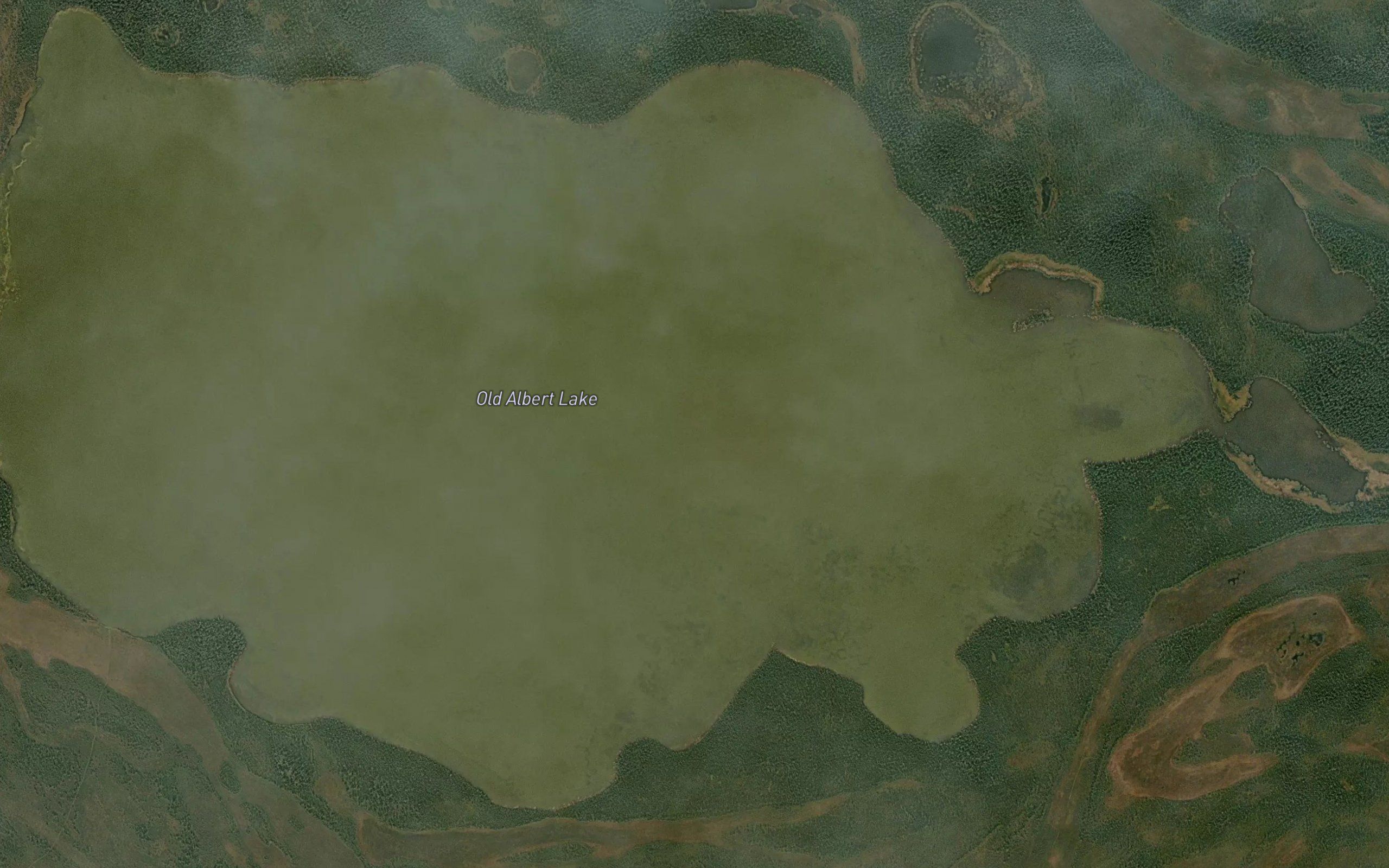 Old Albert Lake