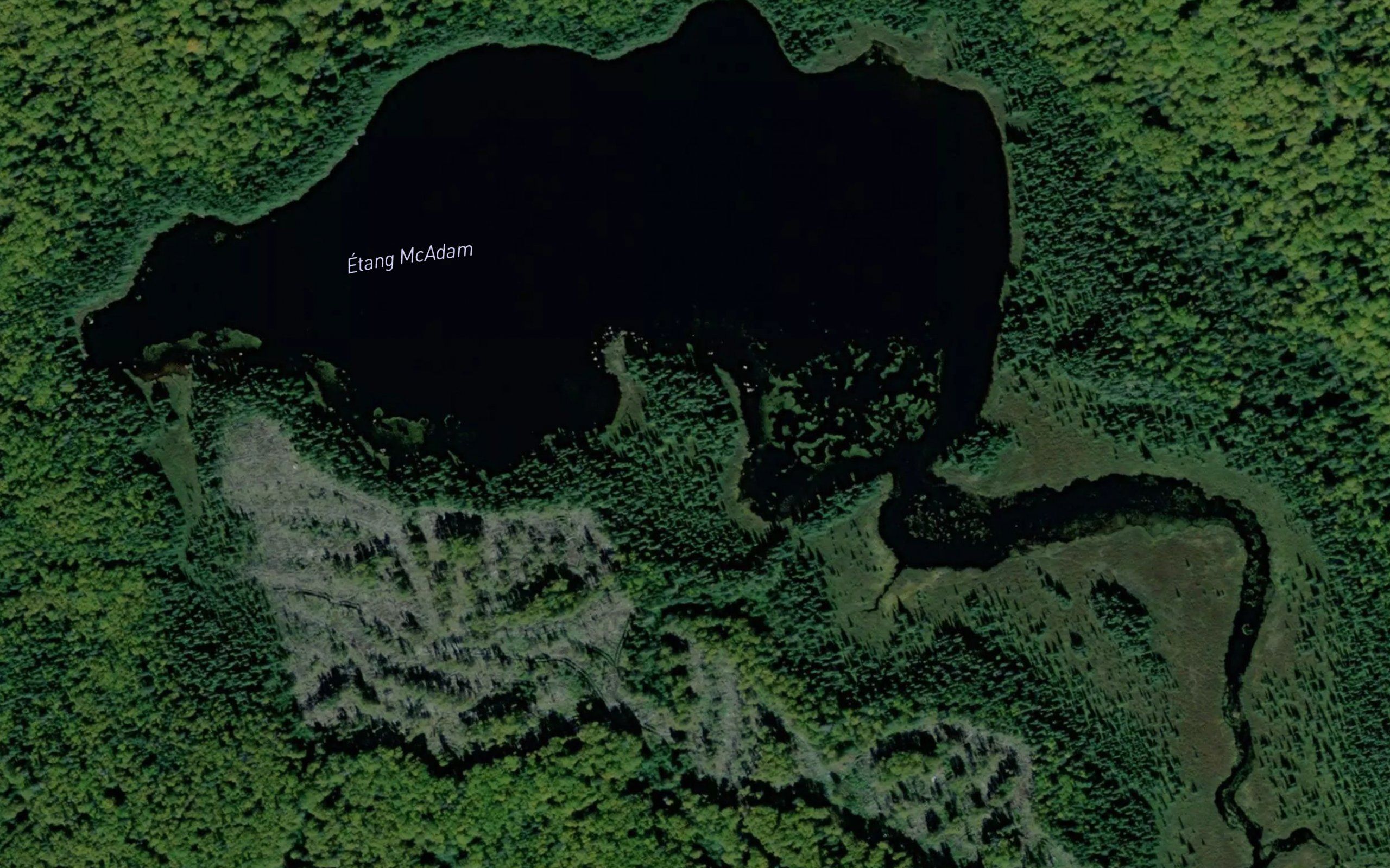 Etang McAdam