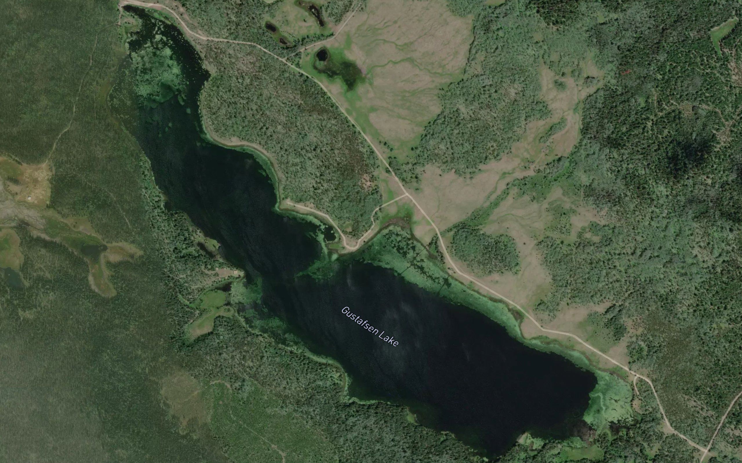 Gustafsen Lake