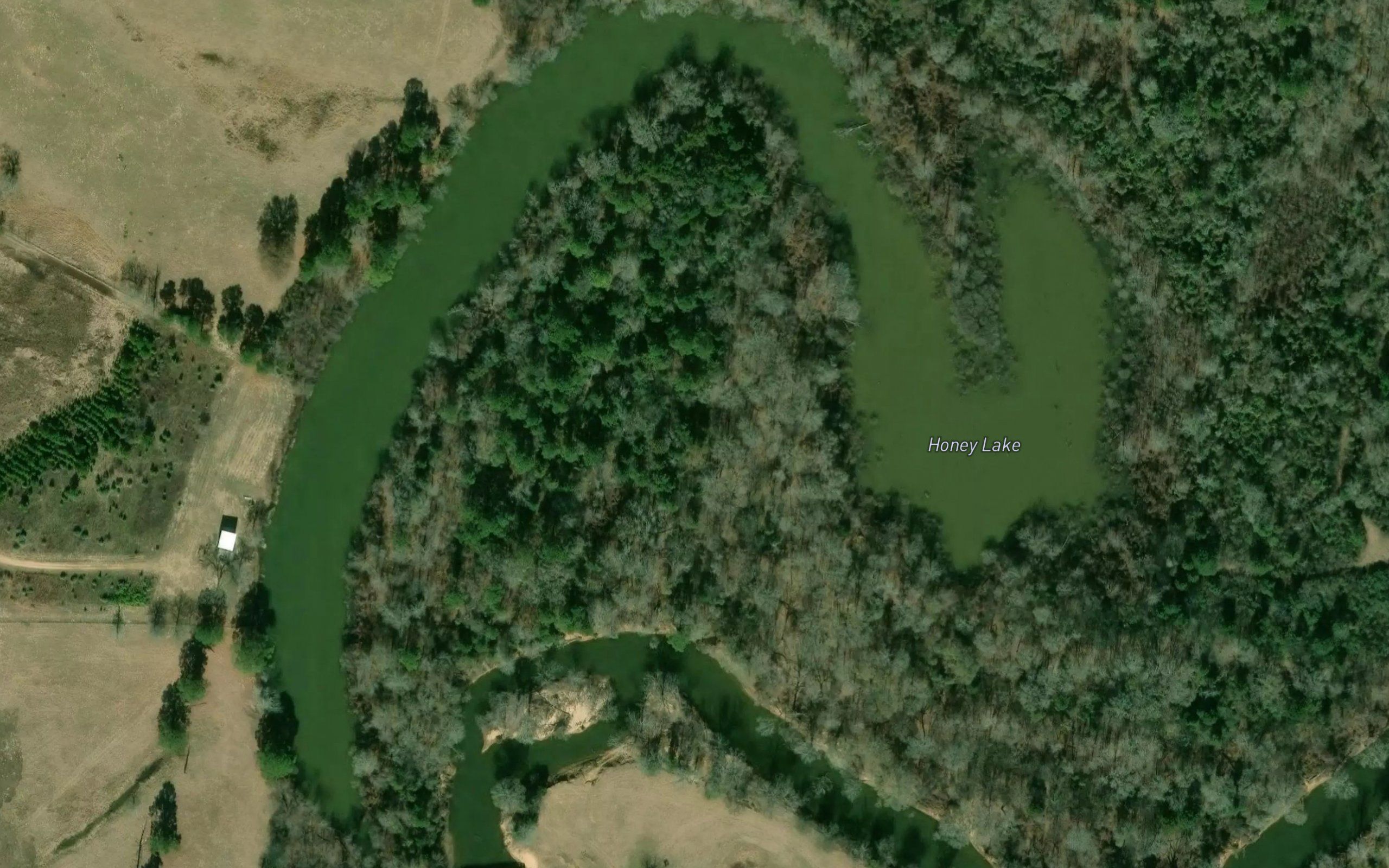 Honey Lake