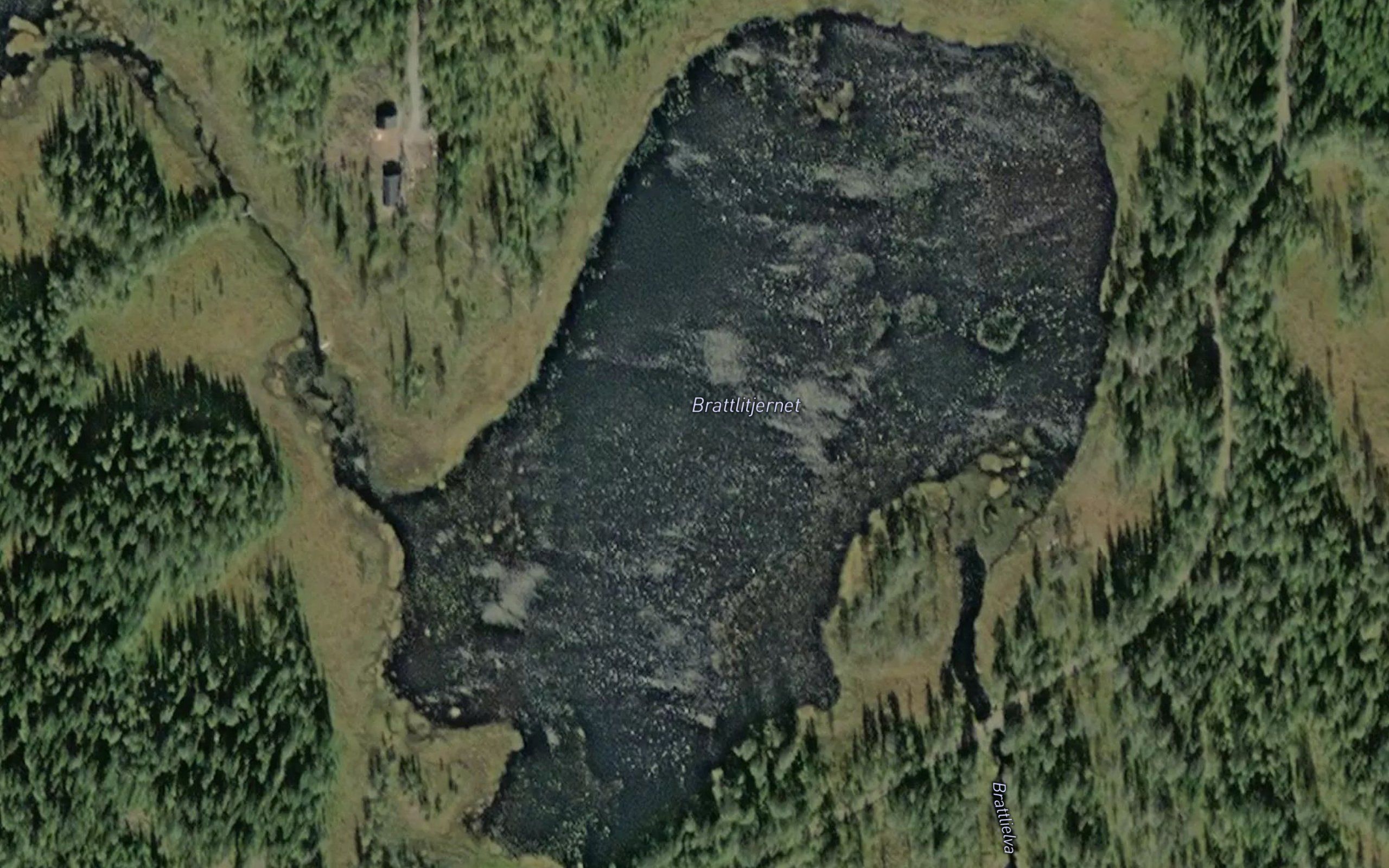Brattlitjernet