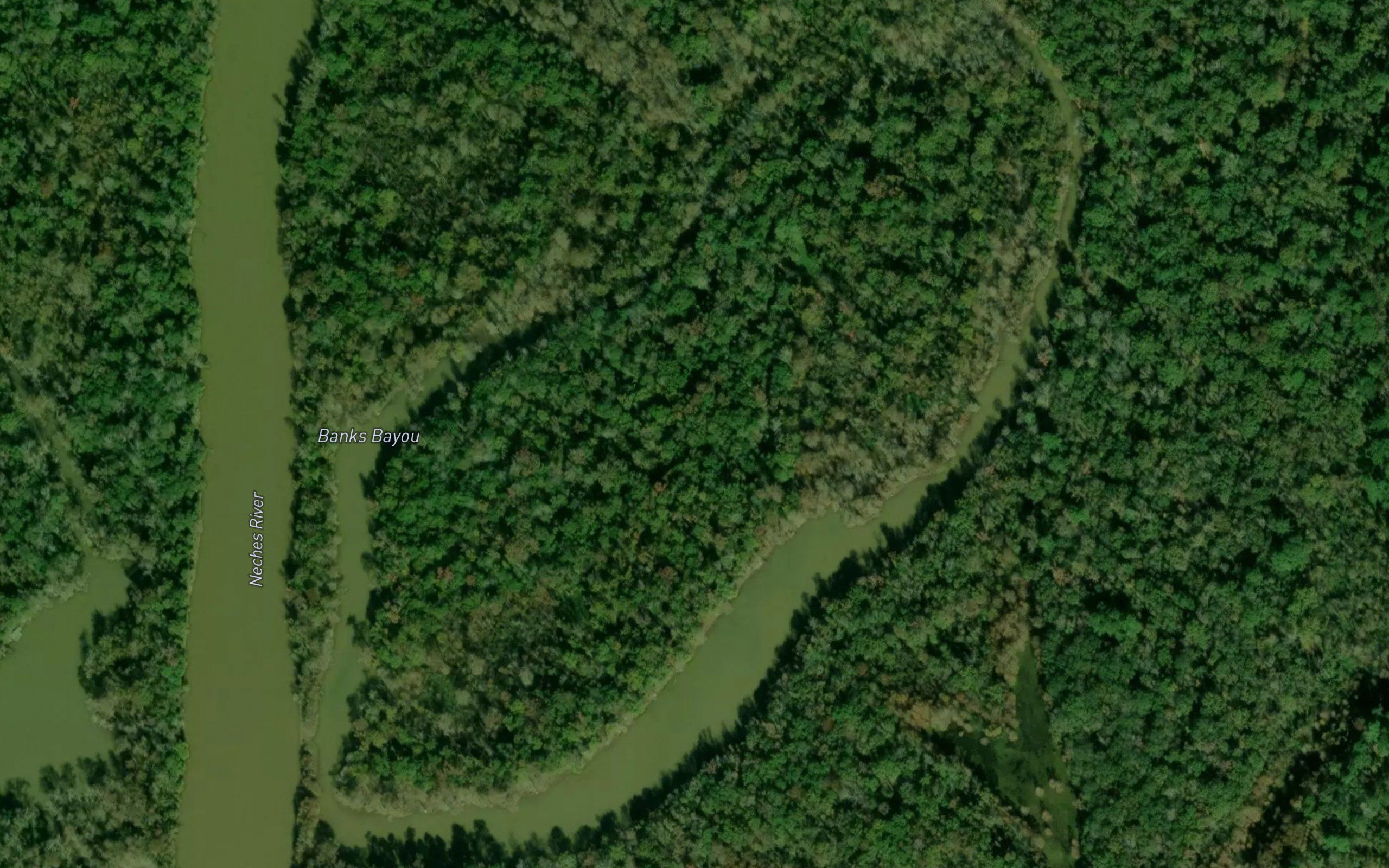 Banks Bayou