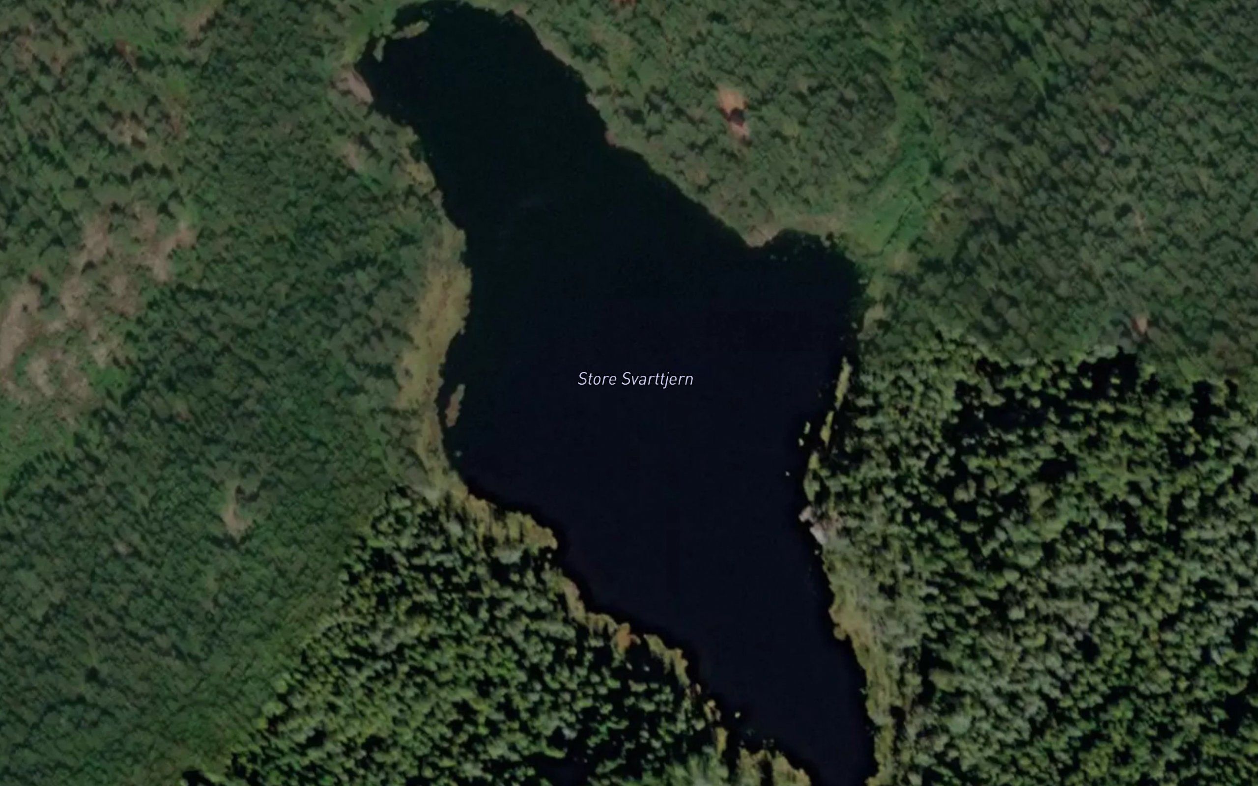 Store Svarttjern