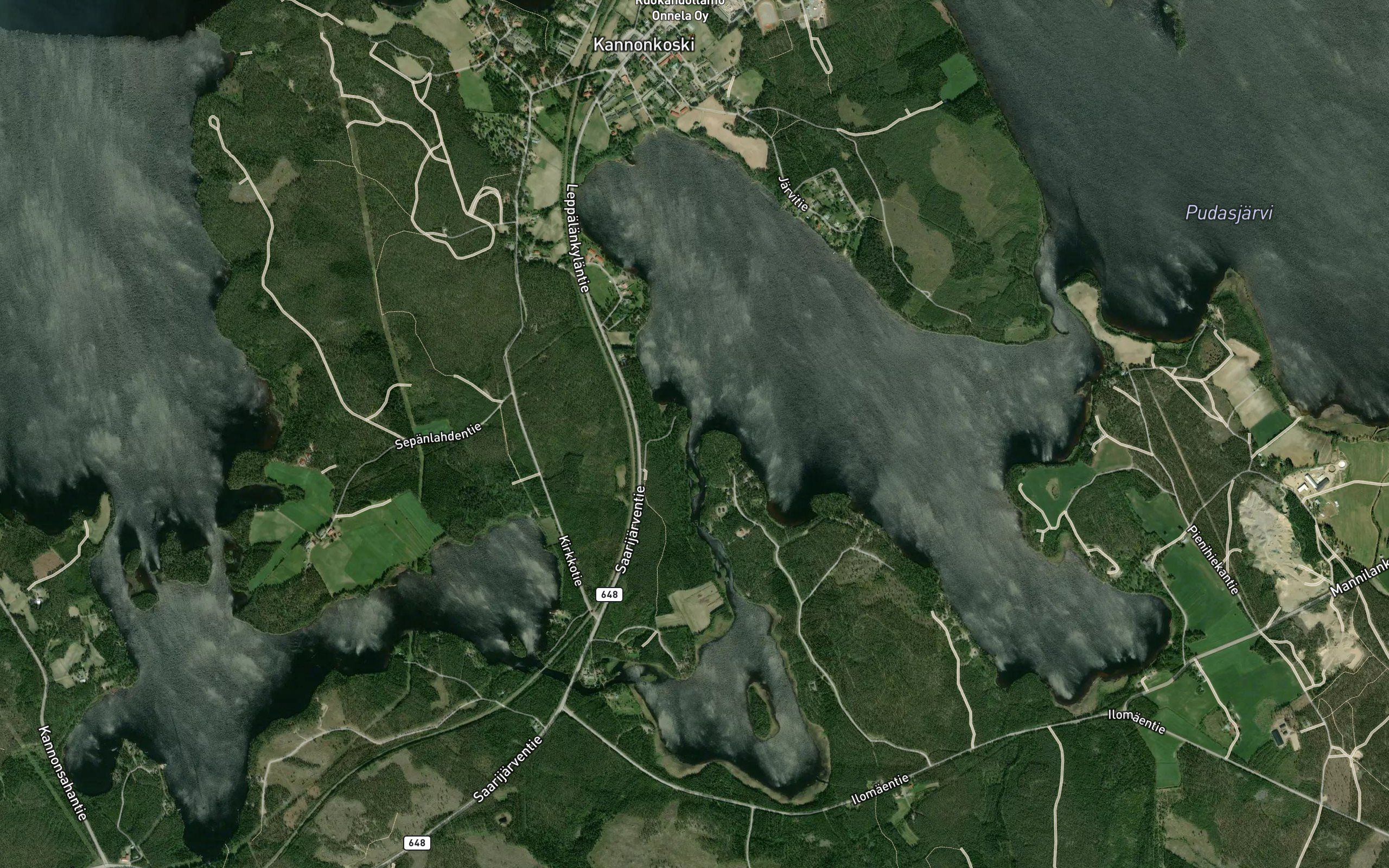 Naisvirta