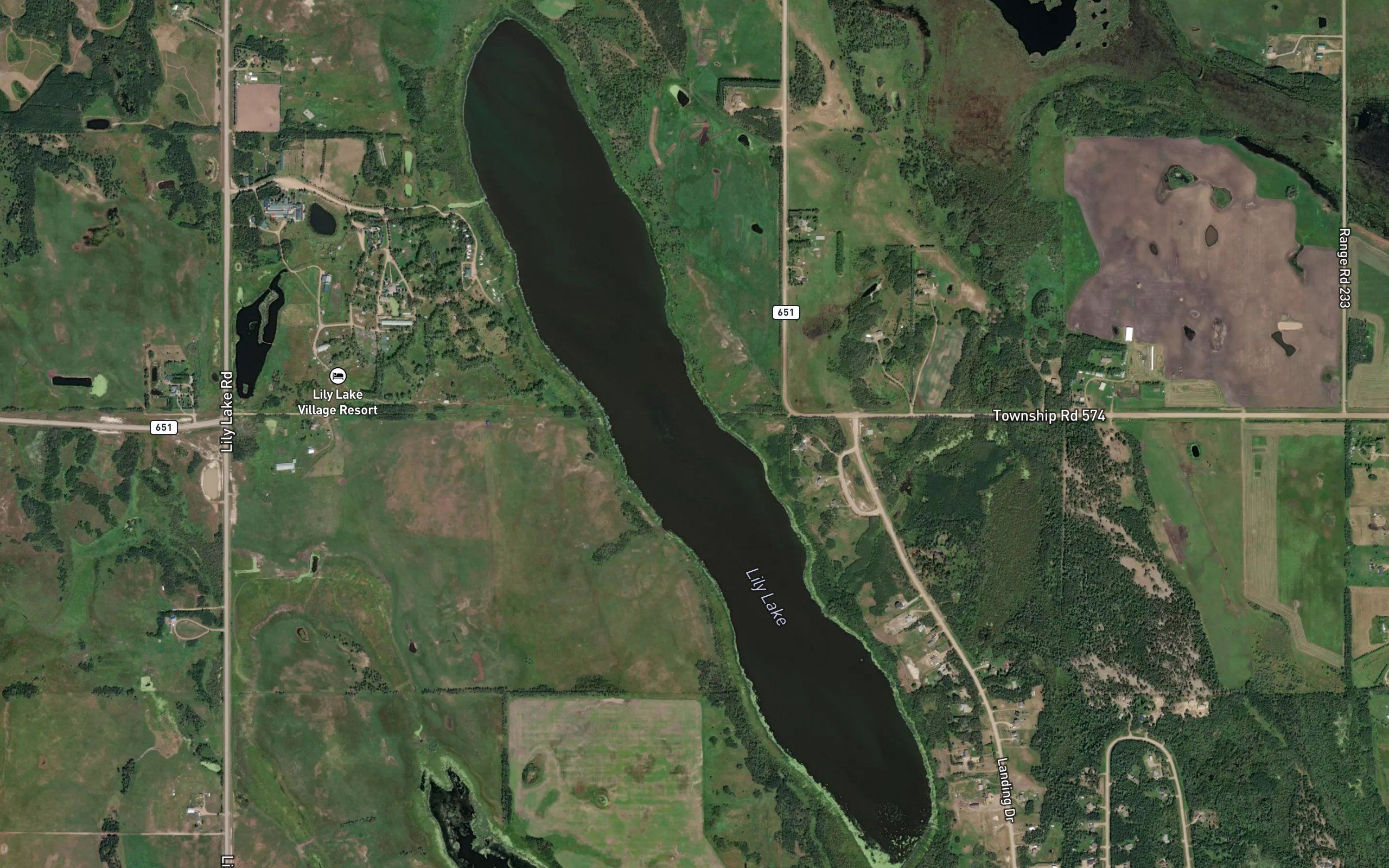 Lily Lake