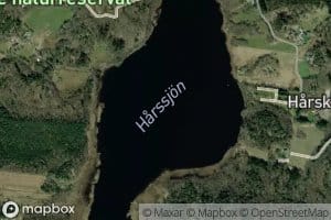 Halsjoen
