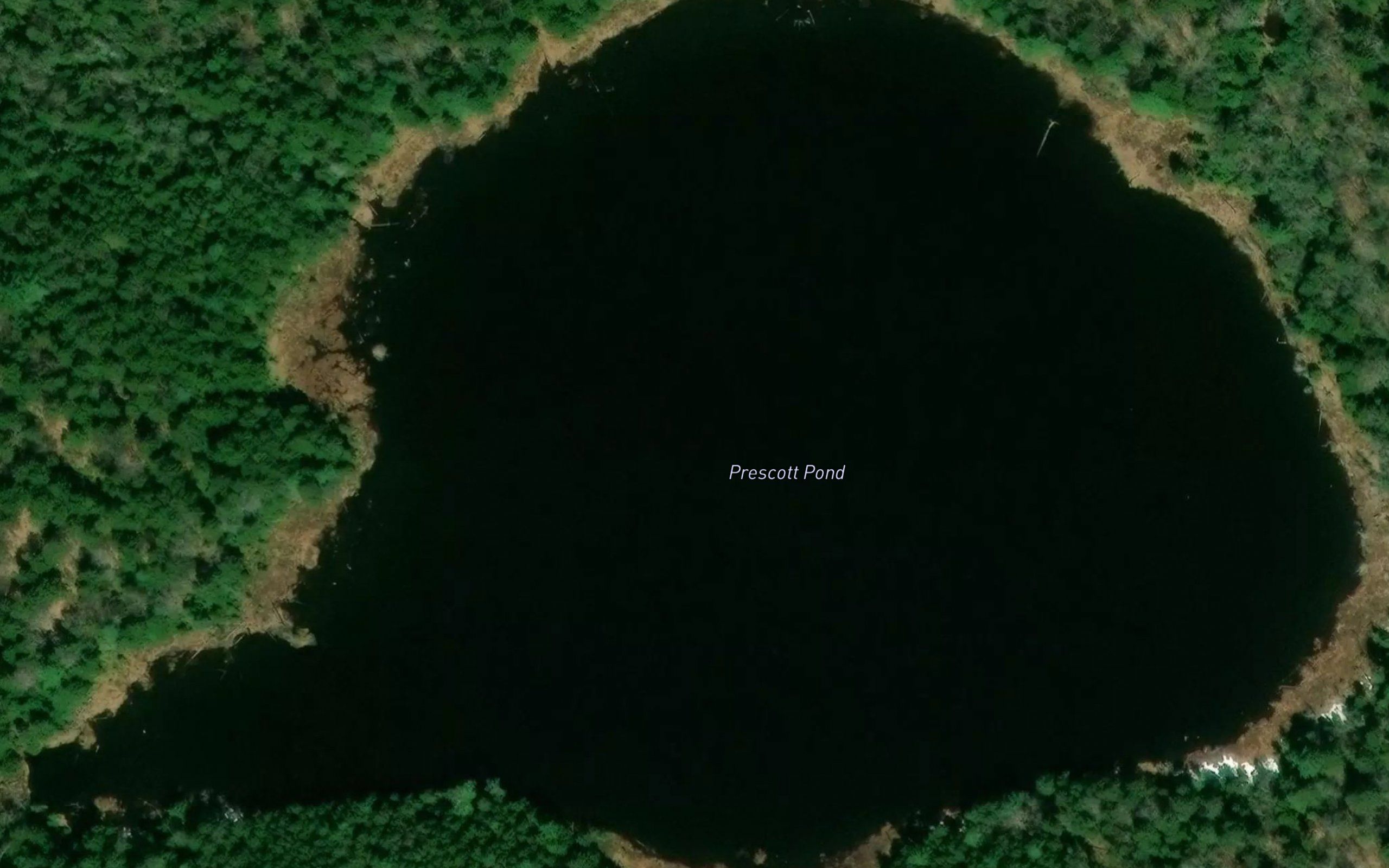 Prescott Pond