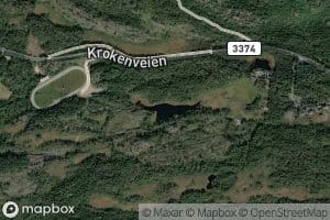 Fisketjern