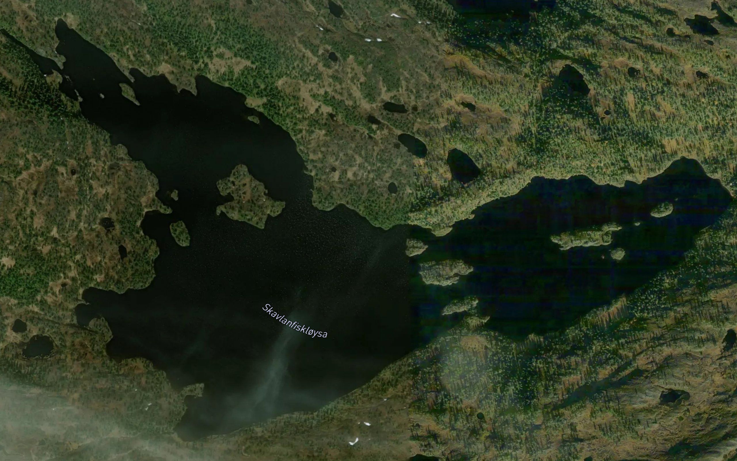 Skavlanfiskloysa