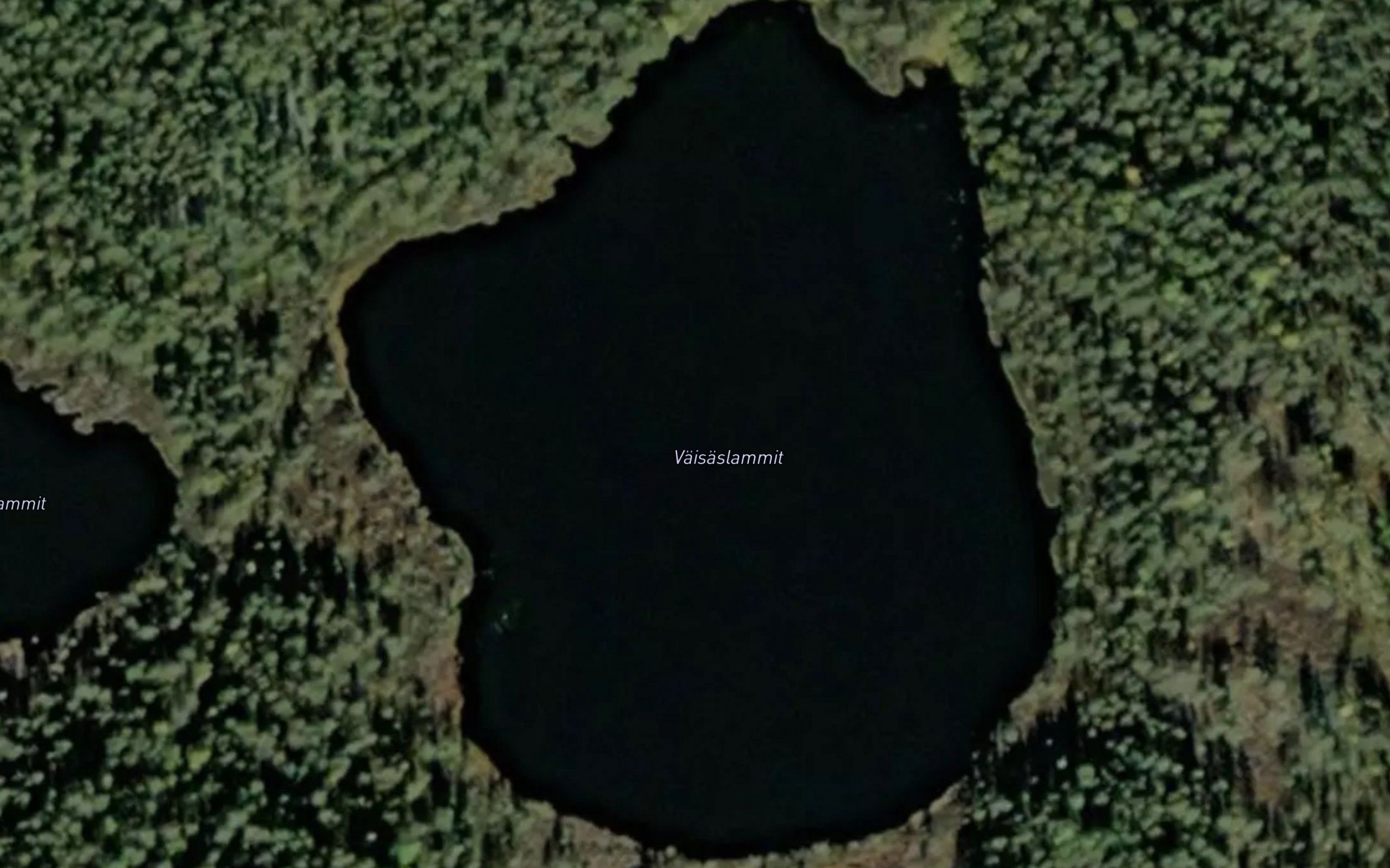 Vaisaslammit