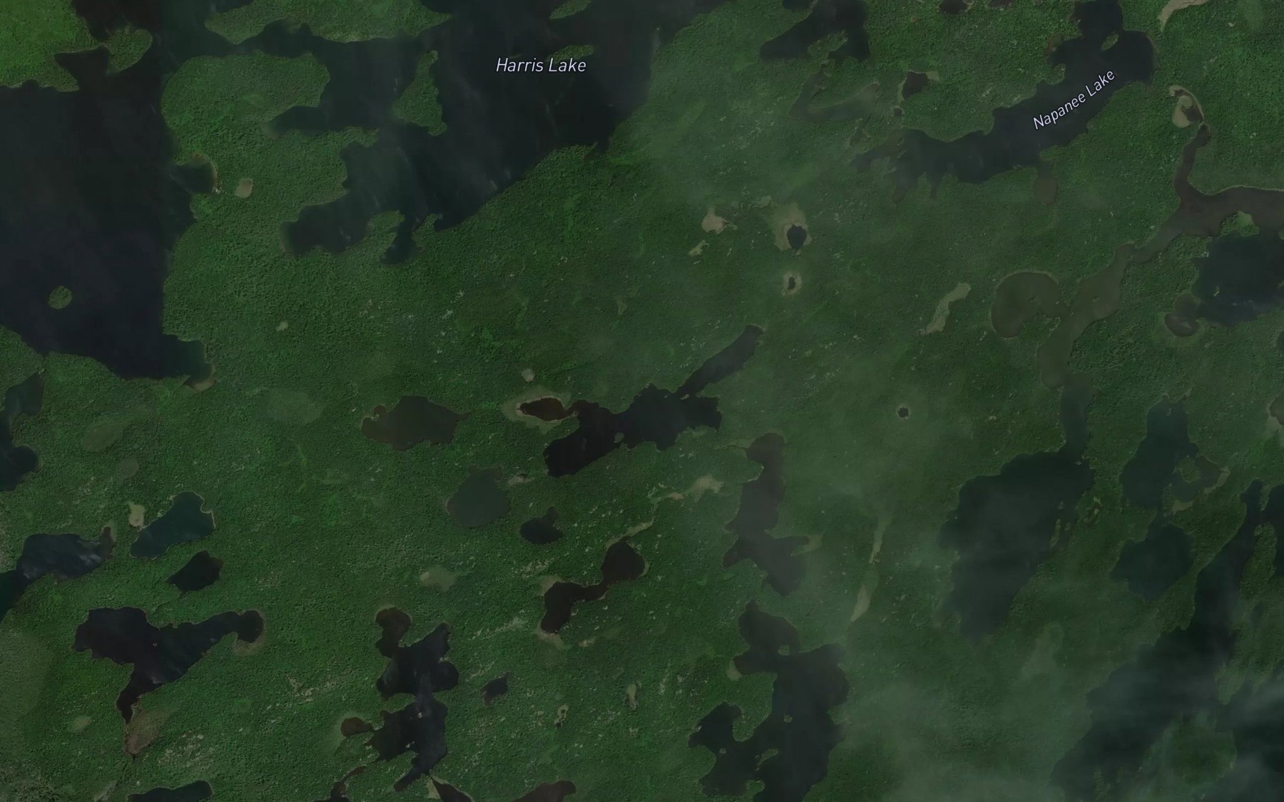 Satellite map of the Davis Lake