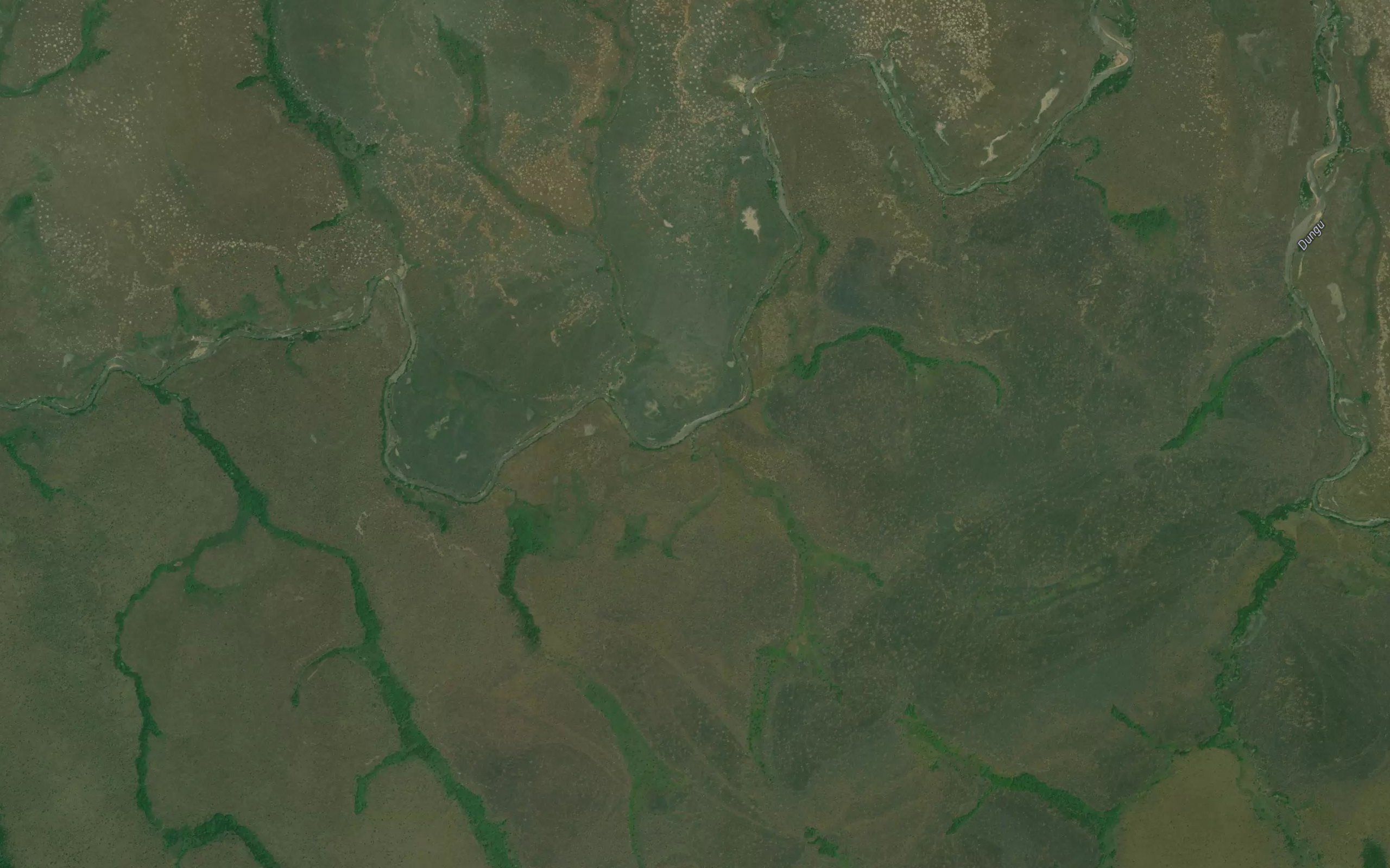 Naukuli