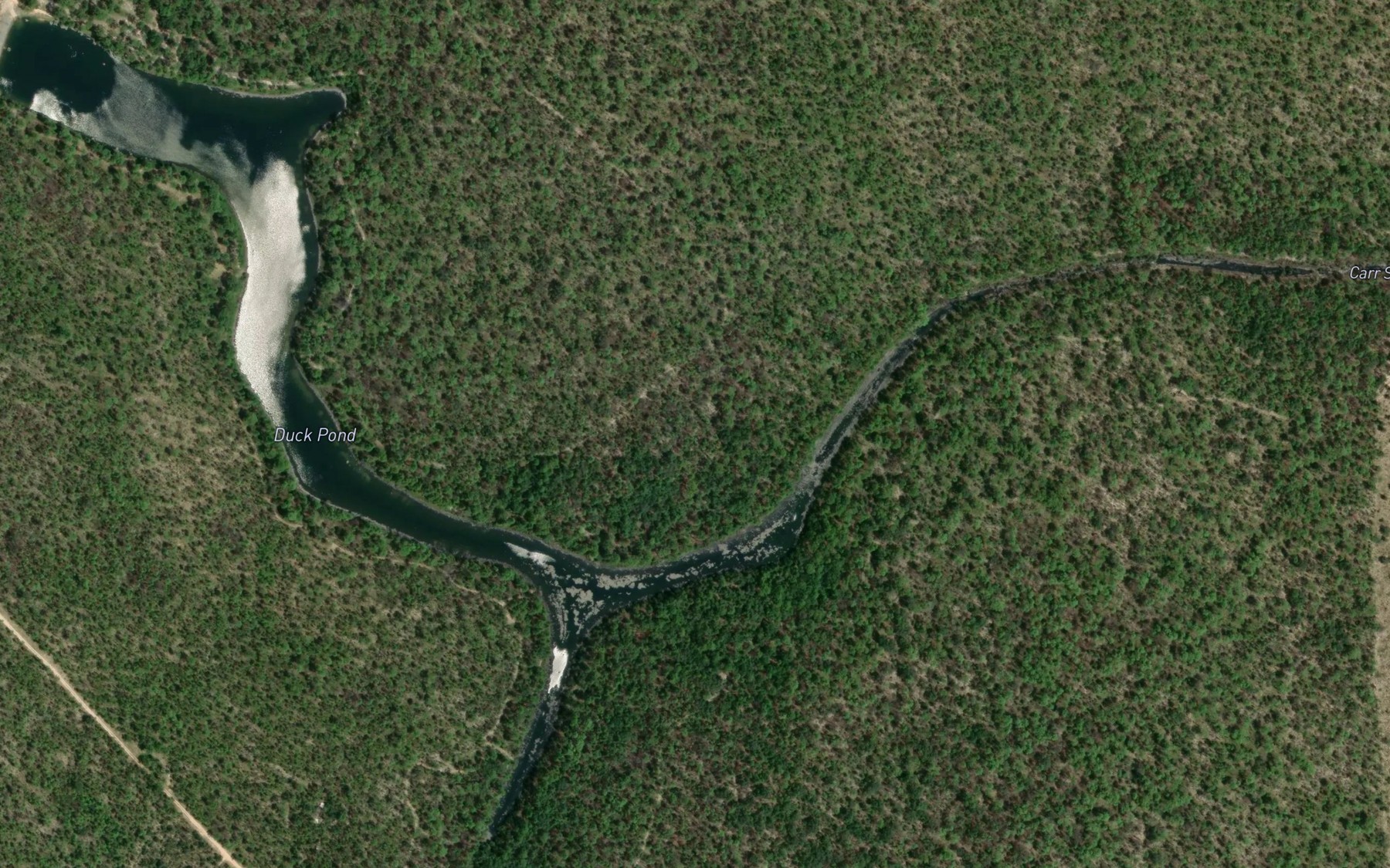 Satellite map of the Duck Pond