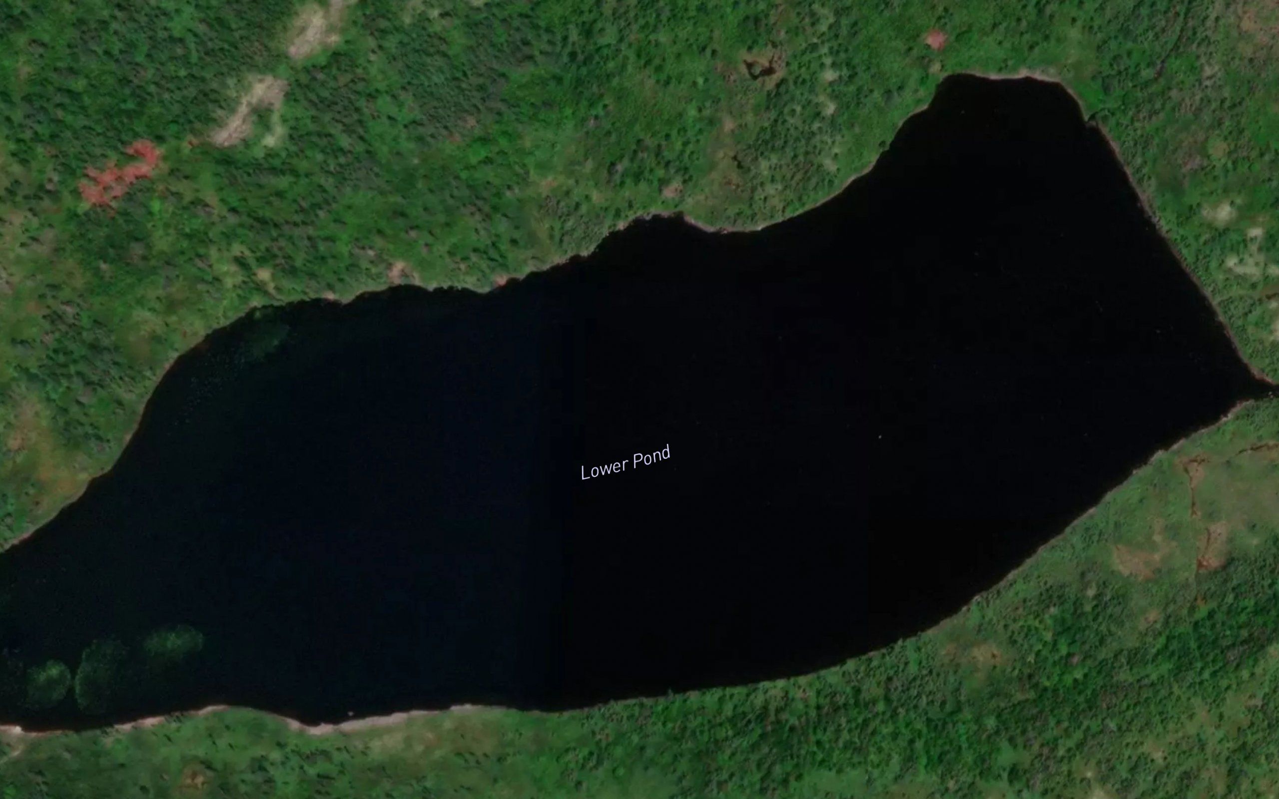Lower Pond