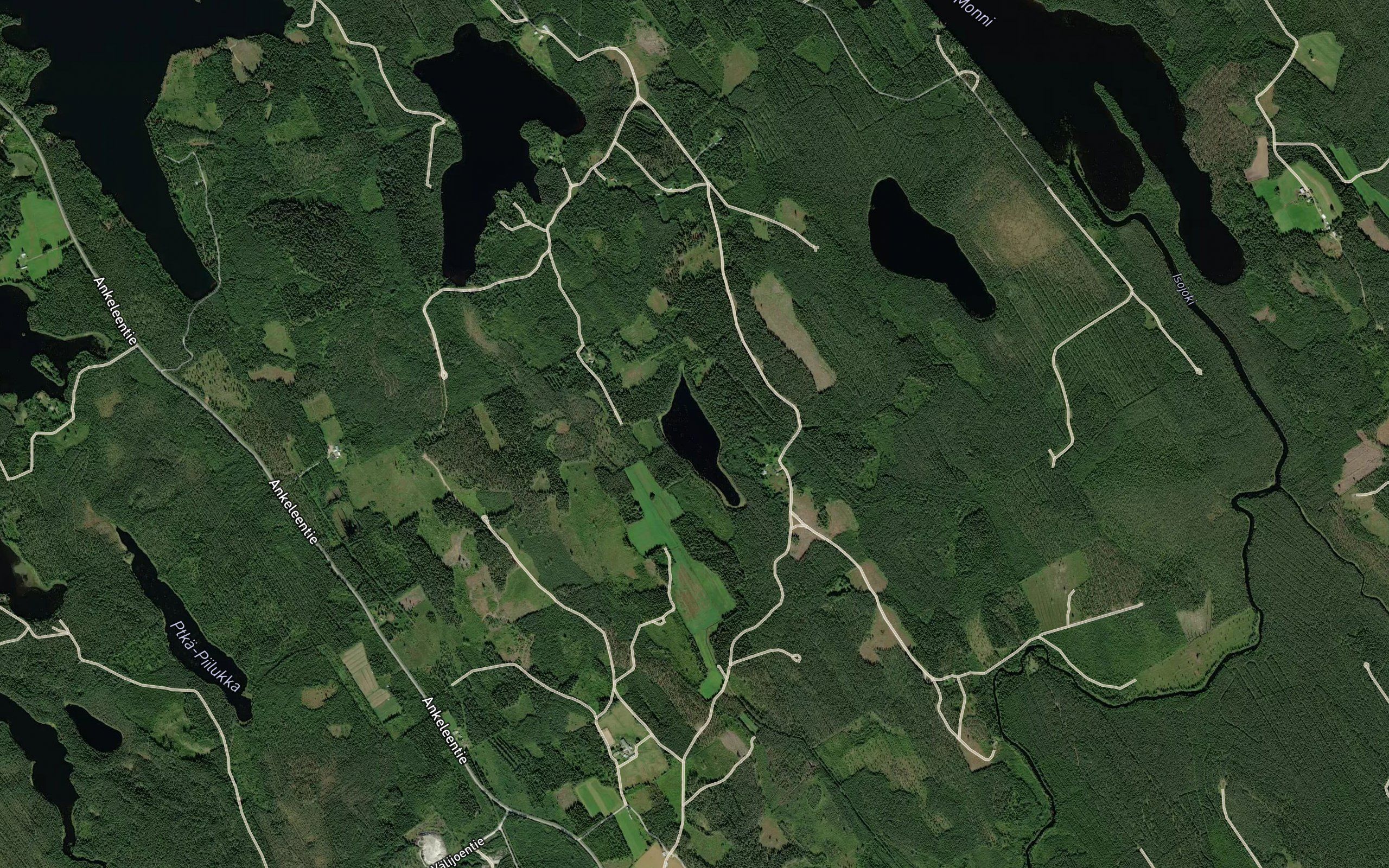 Haukilampi