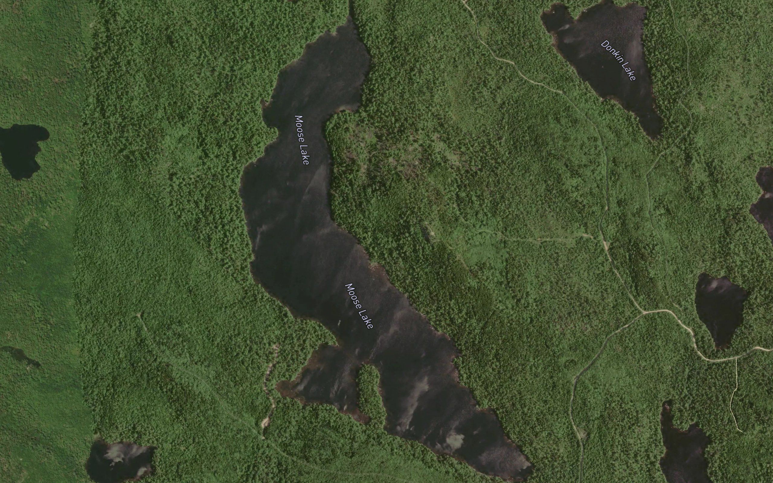 Moose Lake