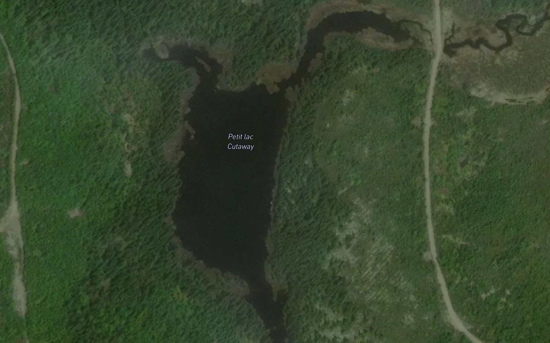 Satellite map of the Petit lac Cutaway