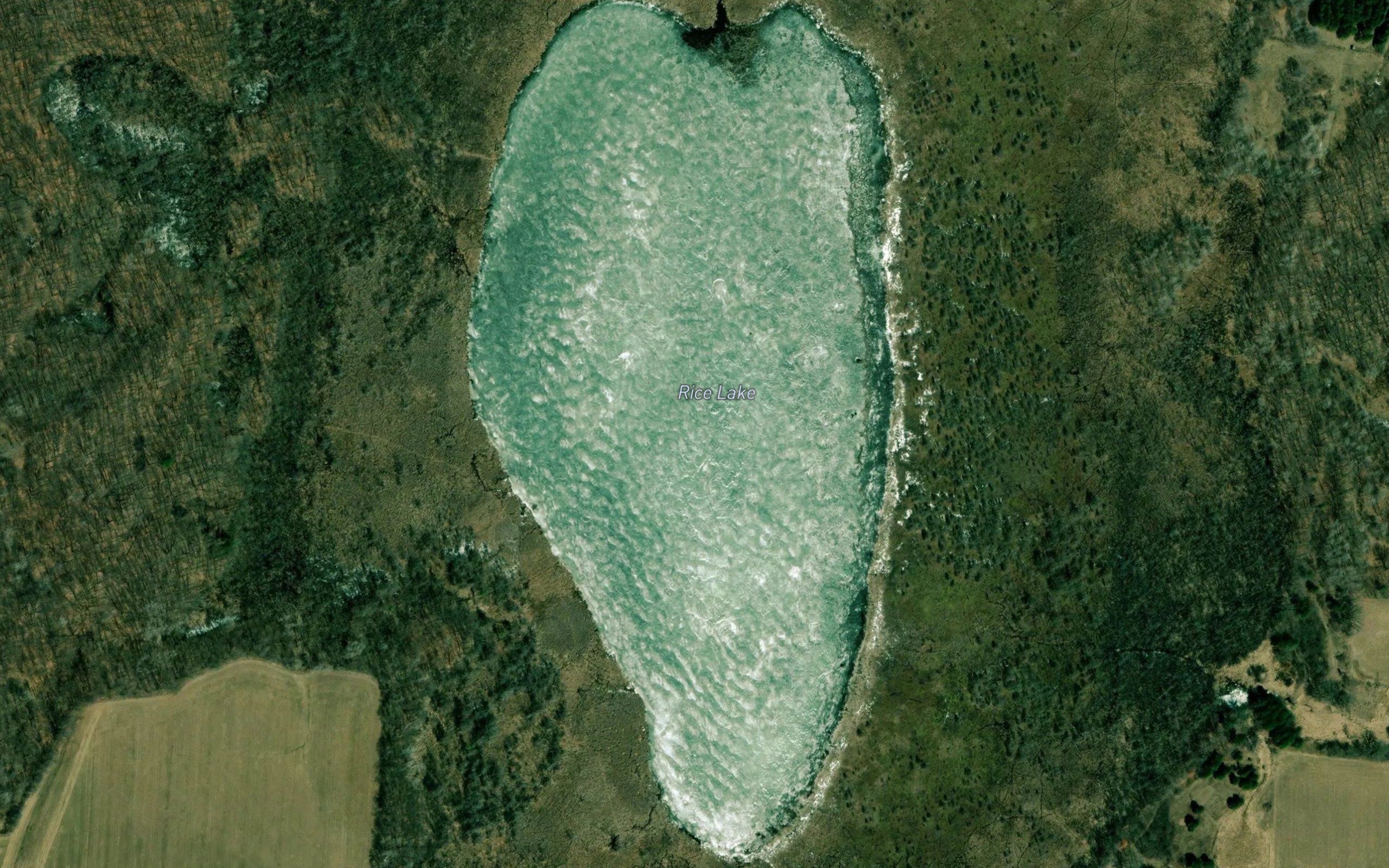 Rice Lake