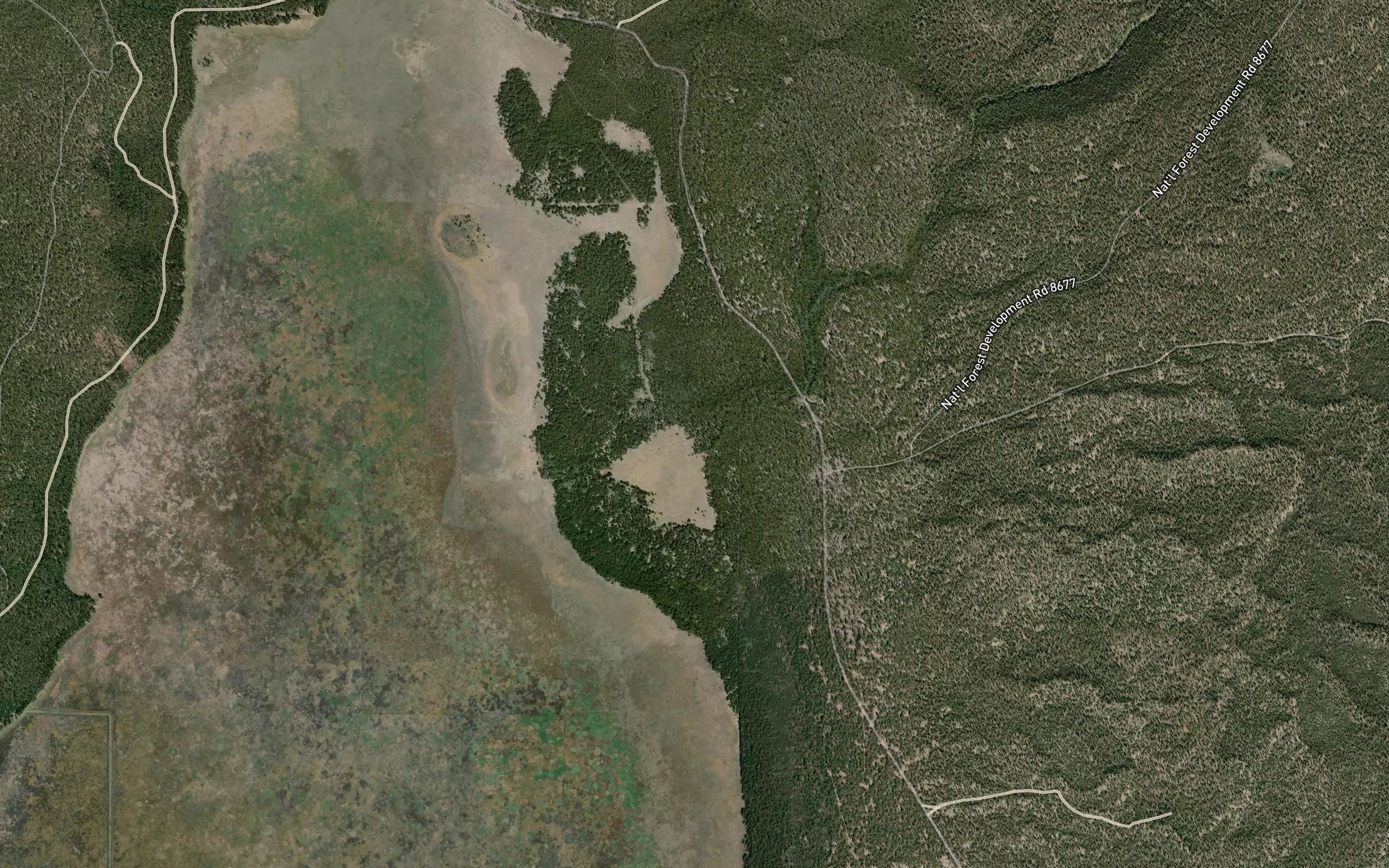 Mosquito Creek