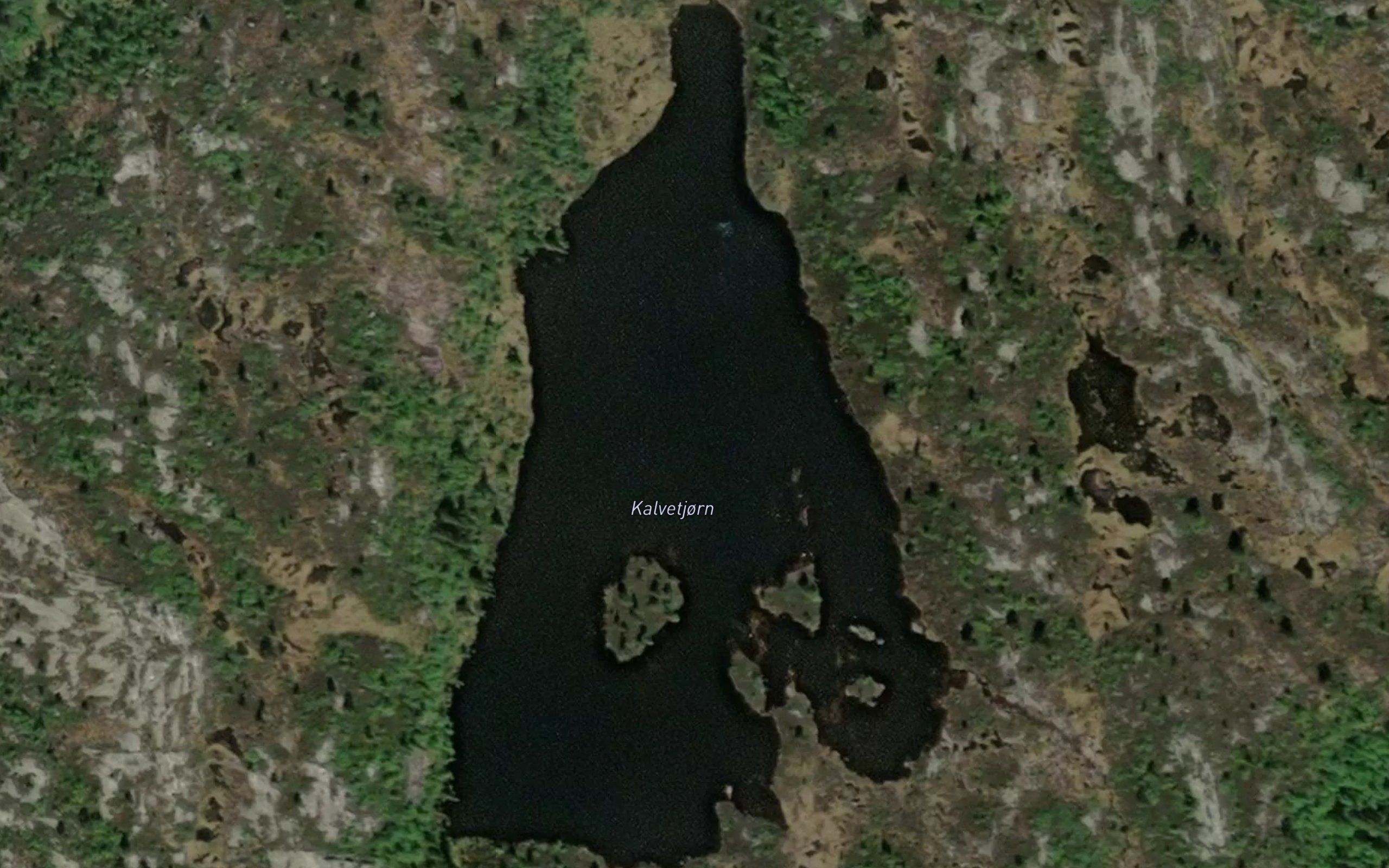 Kavetjorn