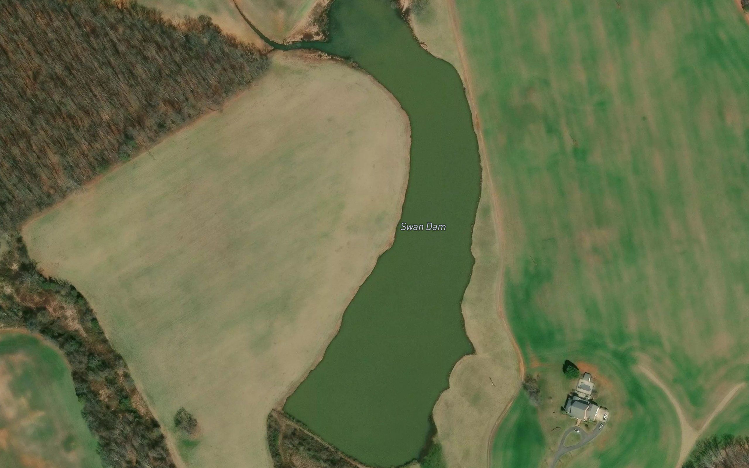 Swan Dam