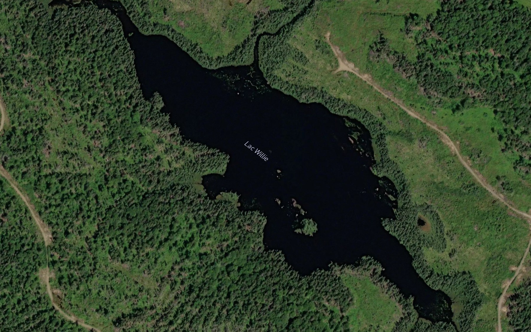 Satellite map of the Lac Willie