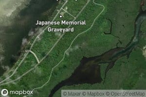 North Mangrove Swamp Center