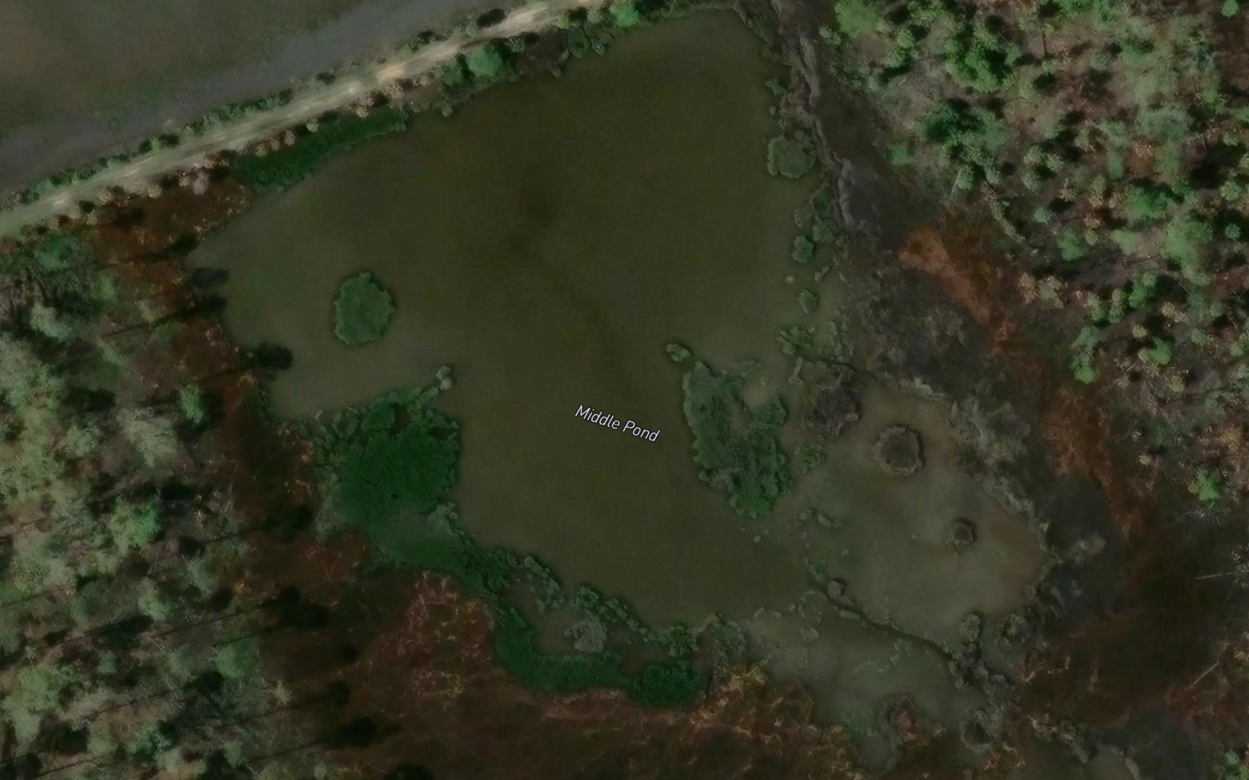 Middle Pond