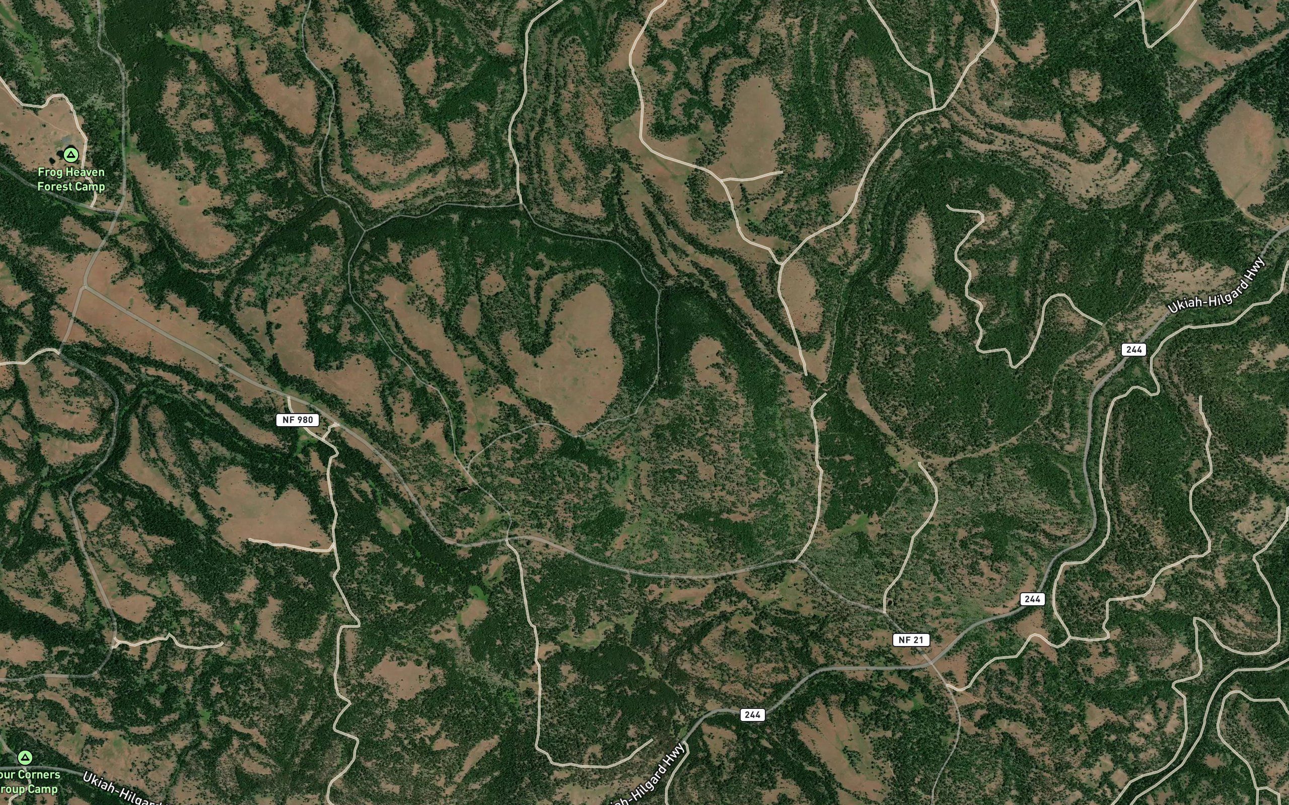 Upper Bluff Spring